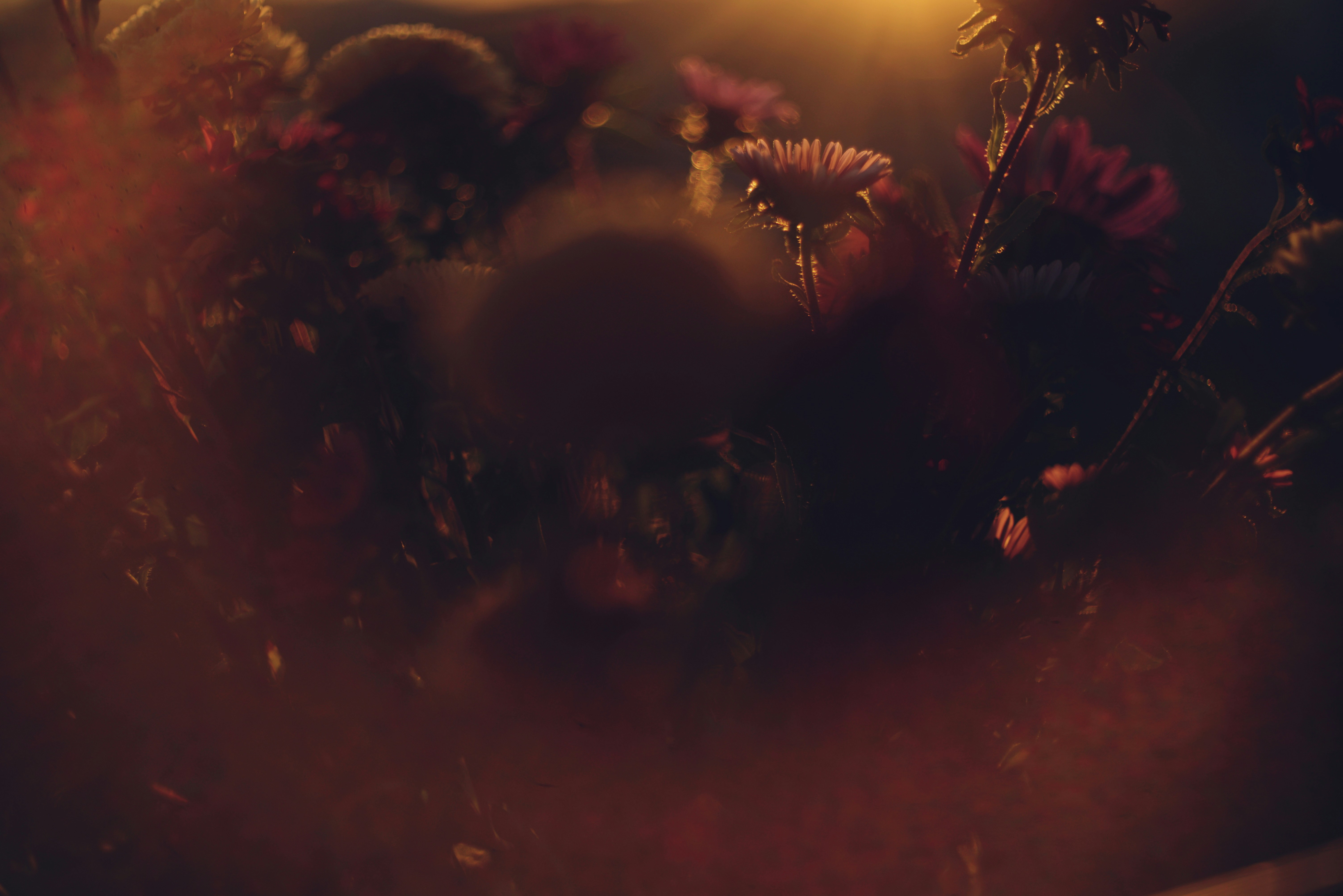 Photo by cherstve_pechivo