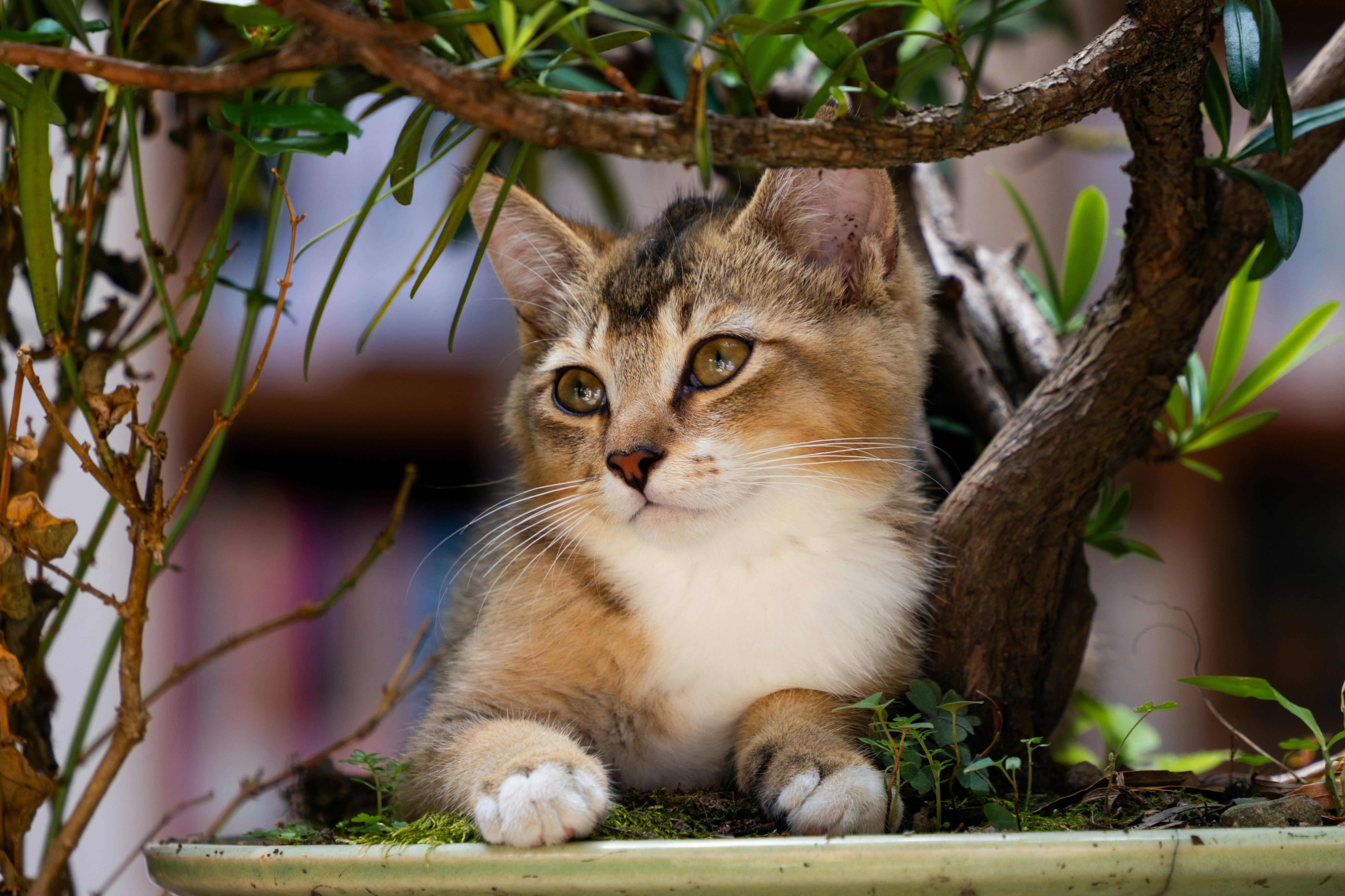 Photo by skyhung1228