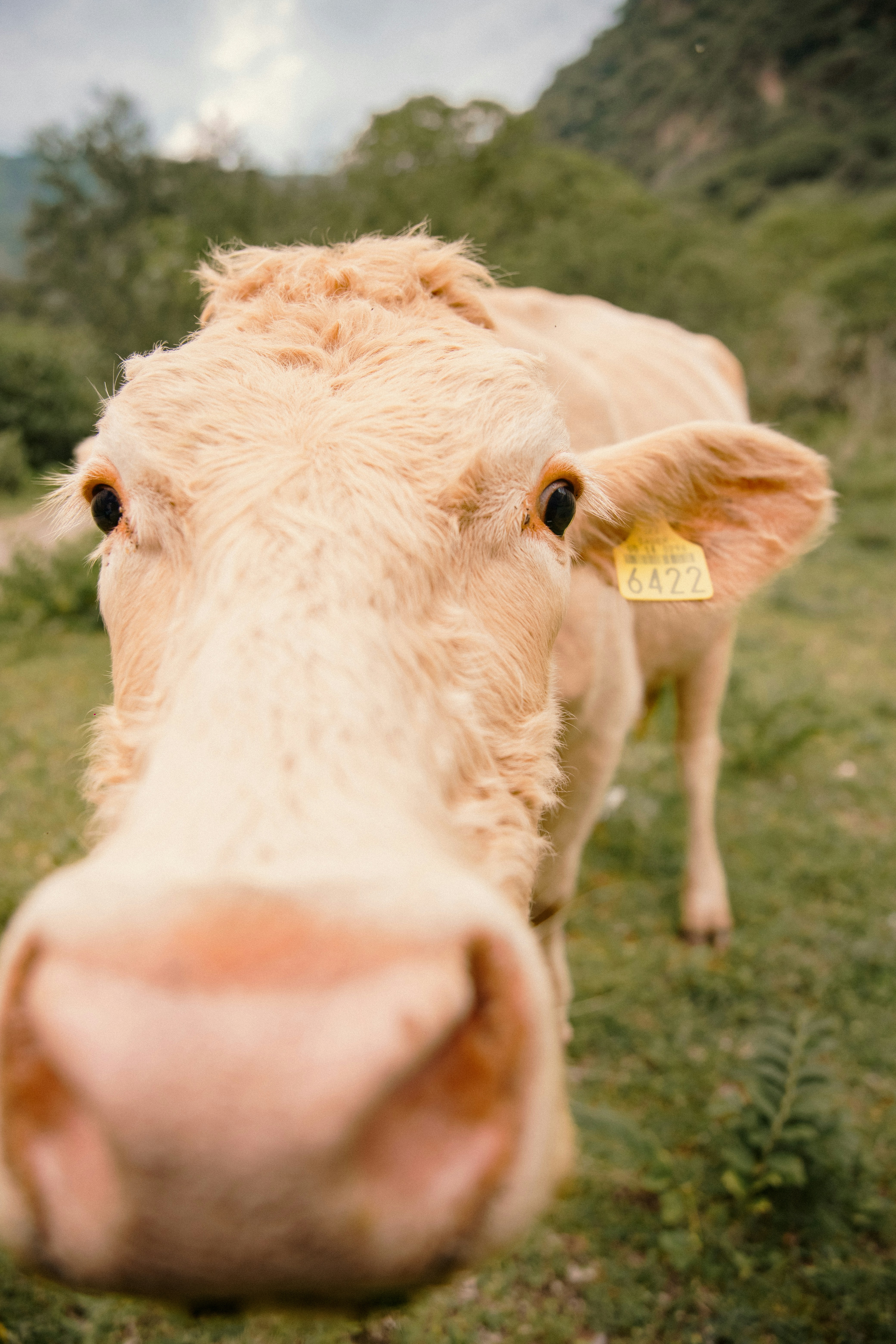 Photo by hectoroconnor