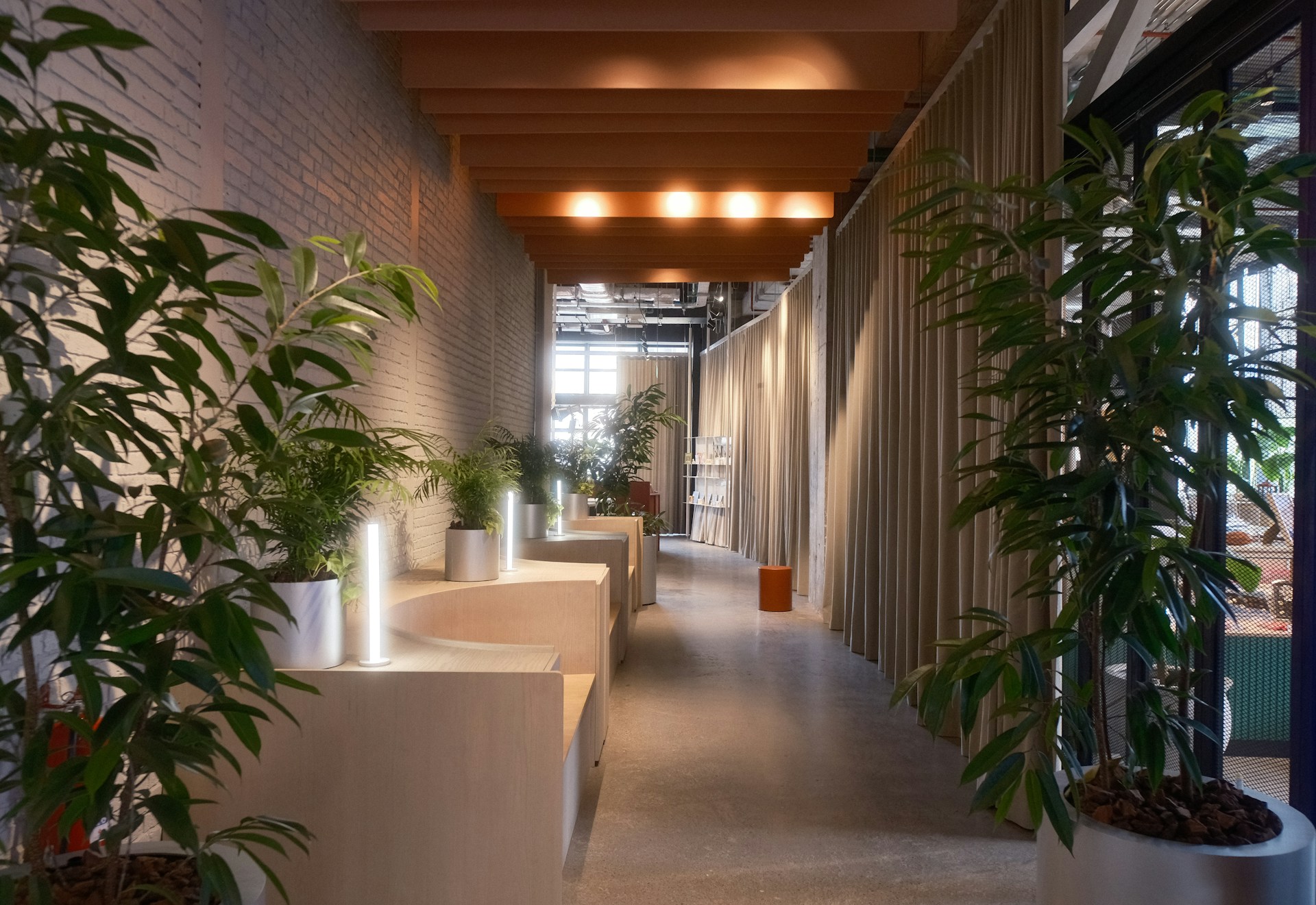 Modern interior hallway with plants and natural light.
