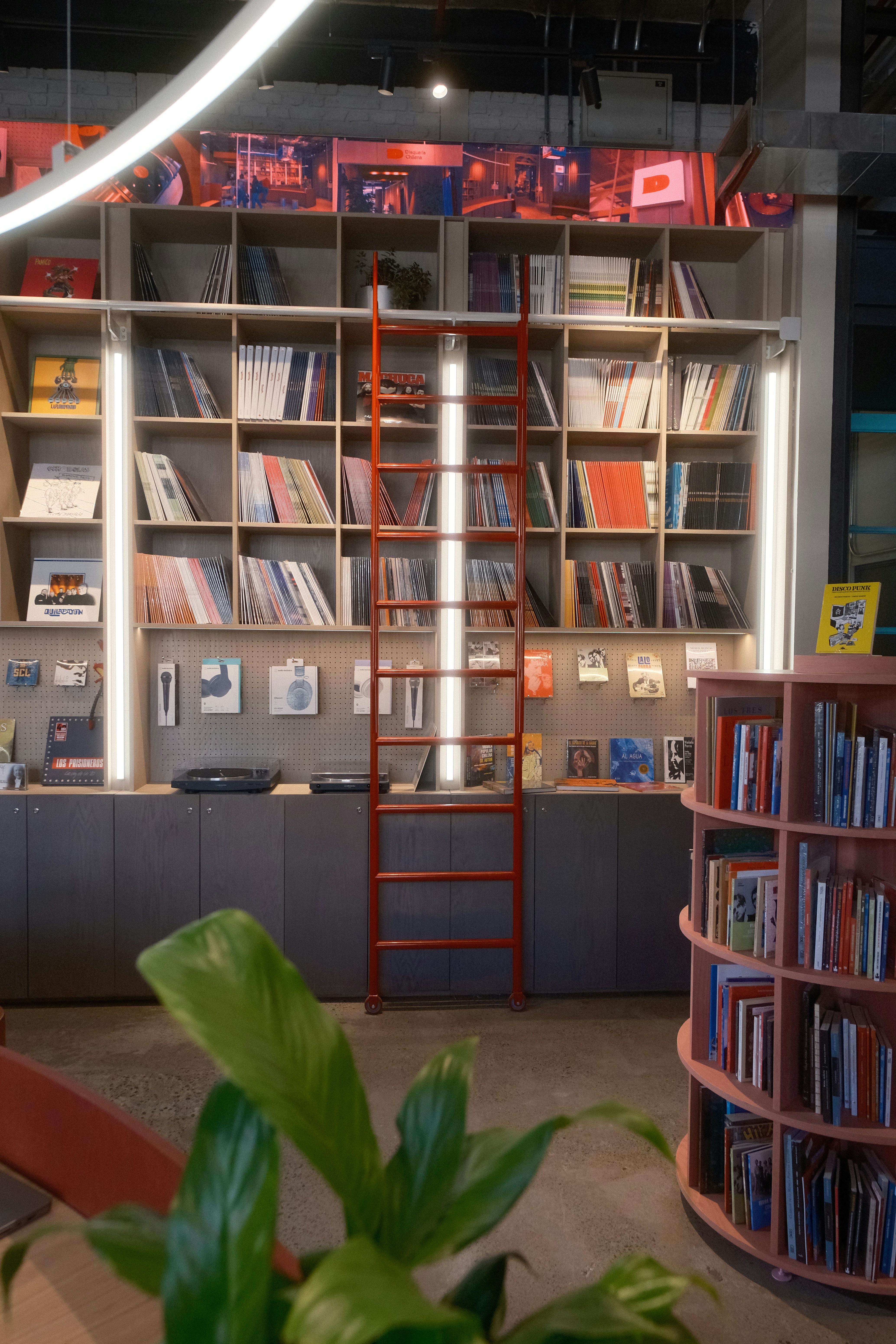 Photo by diegosmarines