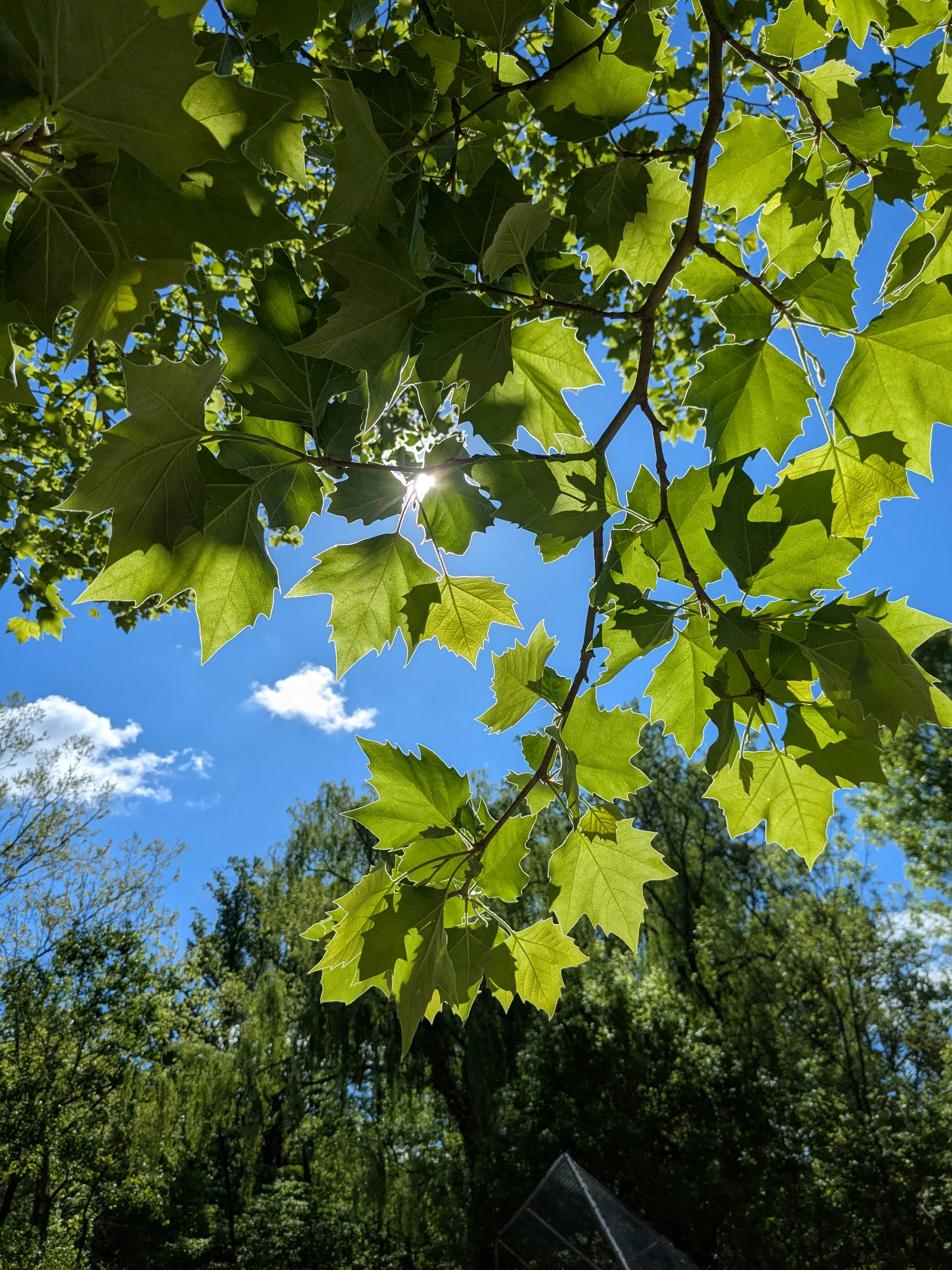 Photo by g3tpaid4pics