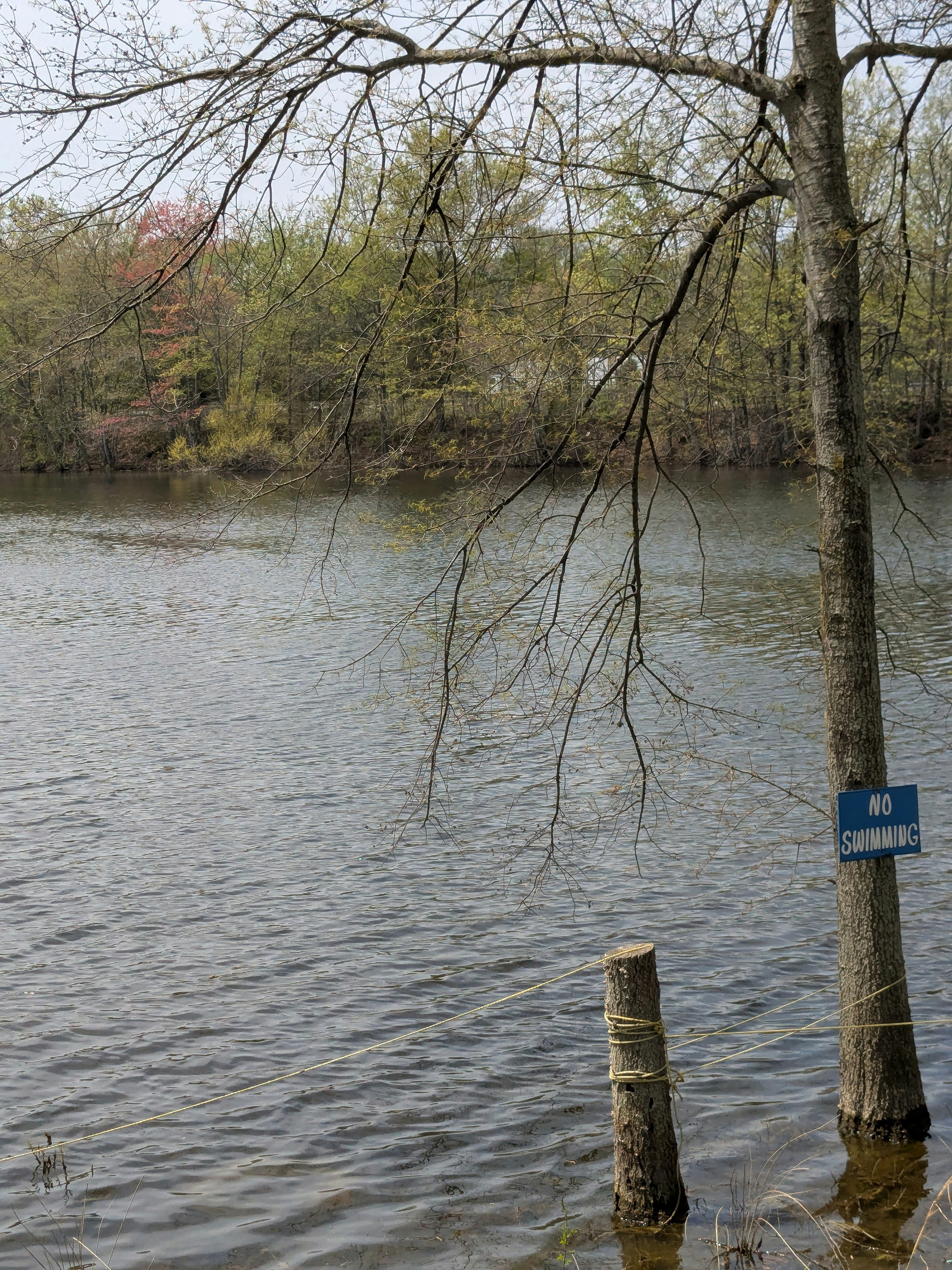 Photo by g3tpaid4pics