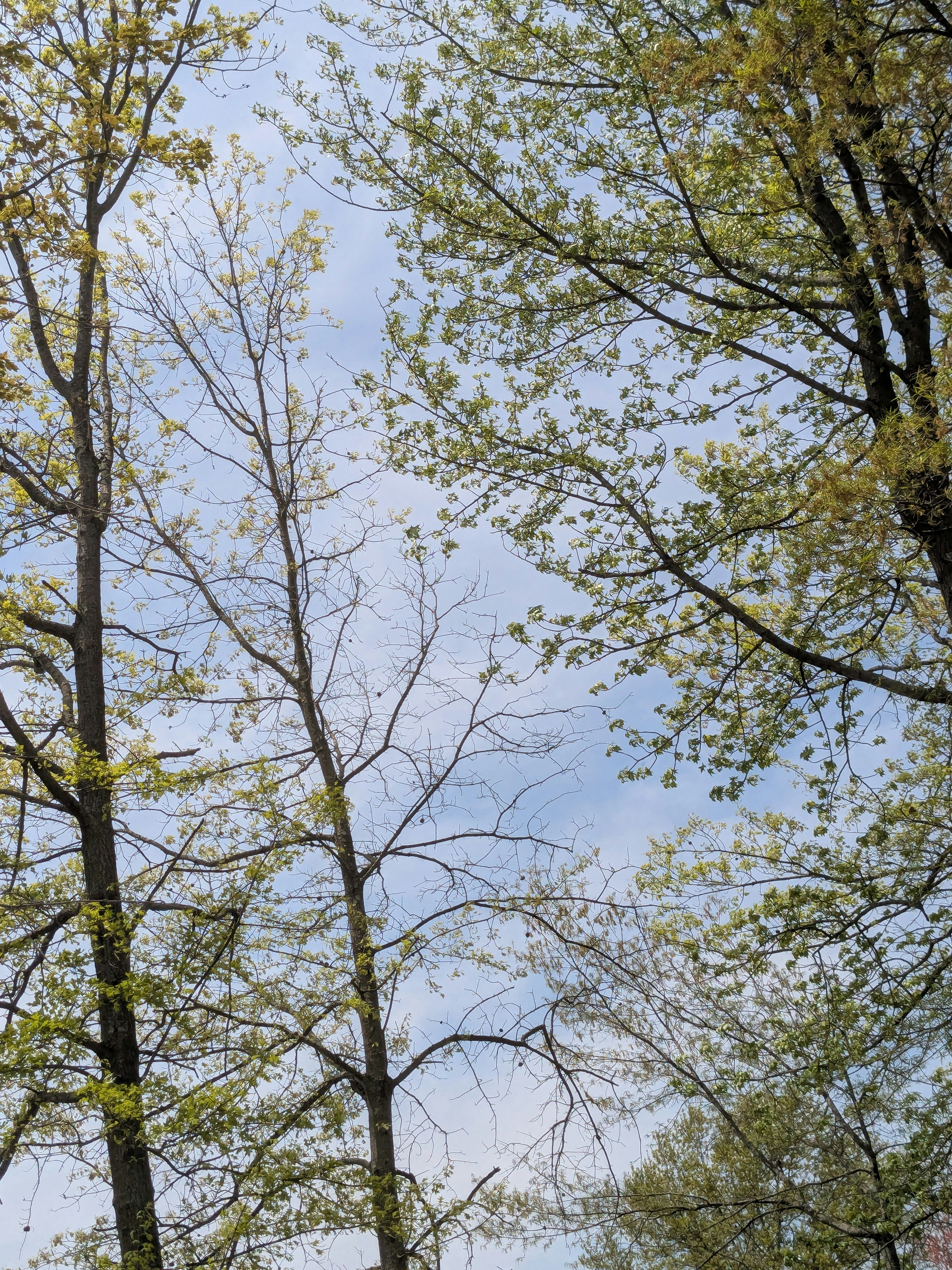 Photo by g3tpaid4pics