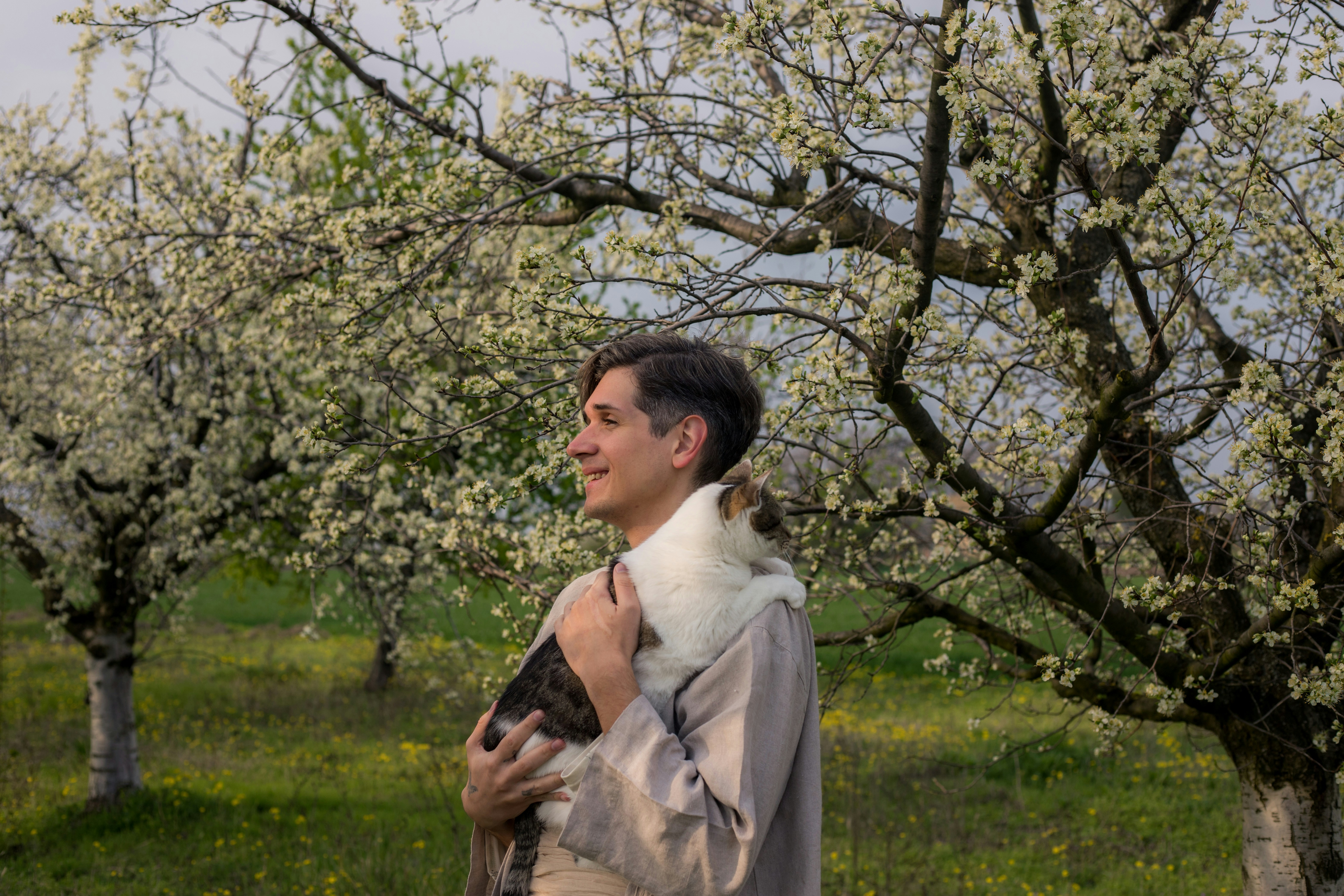 Uomo che tiene un gatto in un frutteto in fiore
