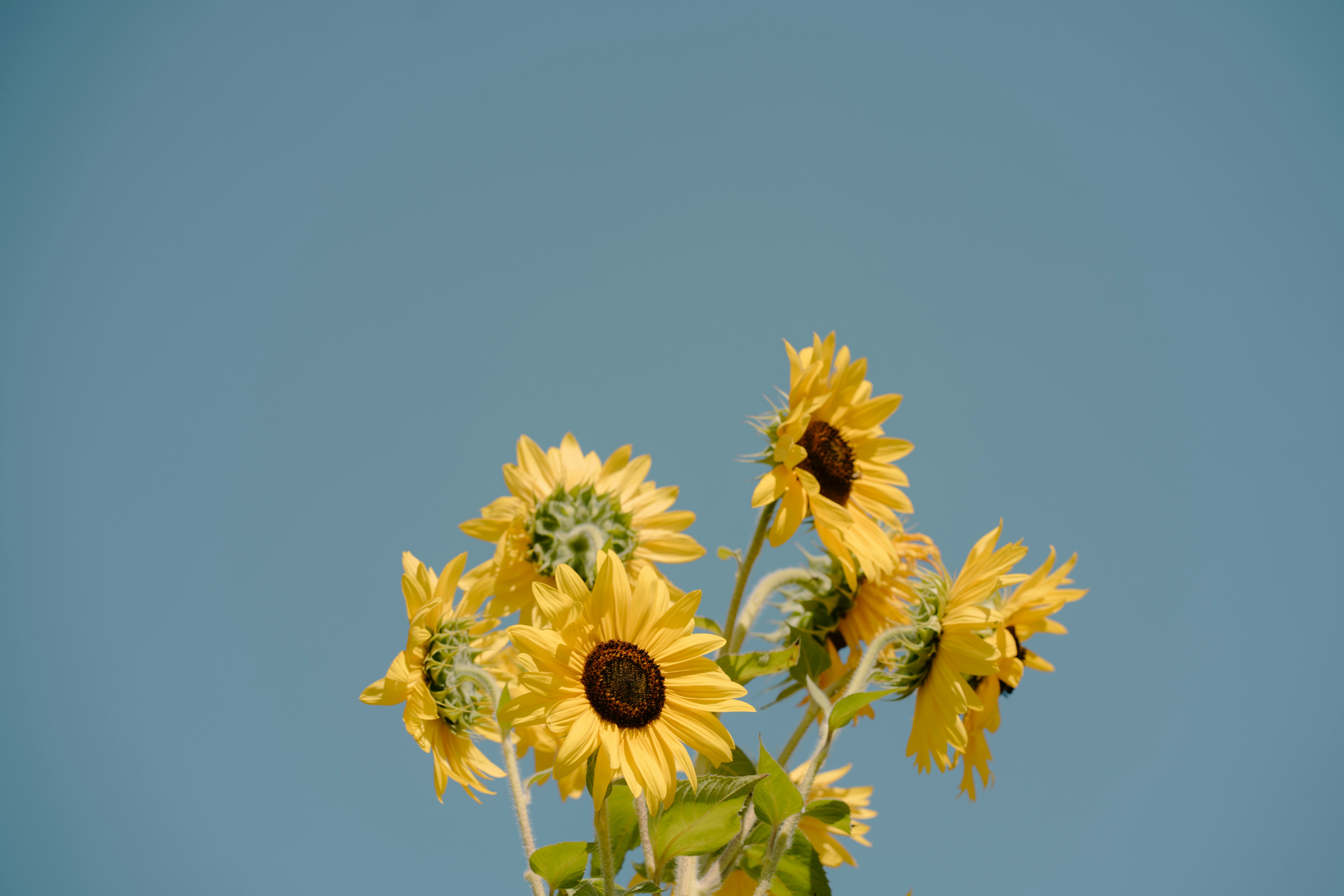 Photo by emilyirenephotoco