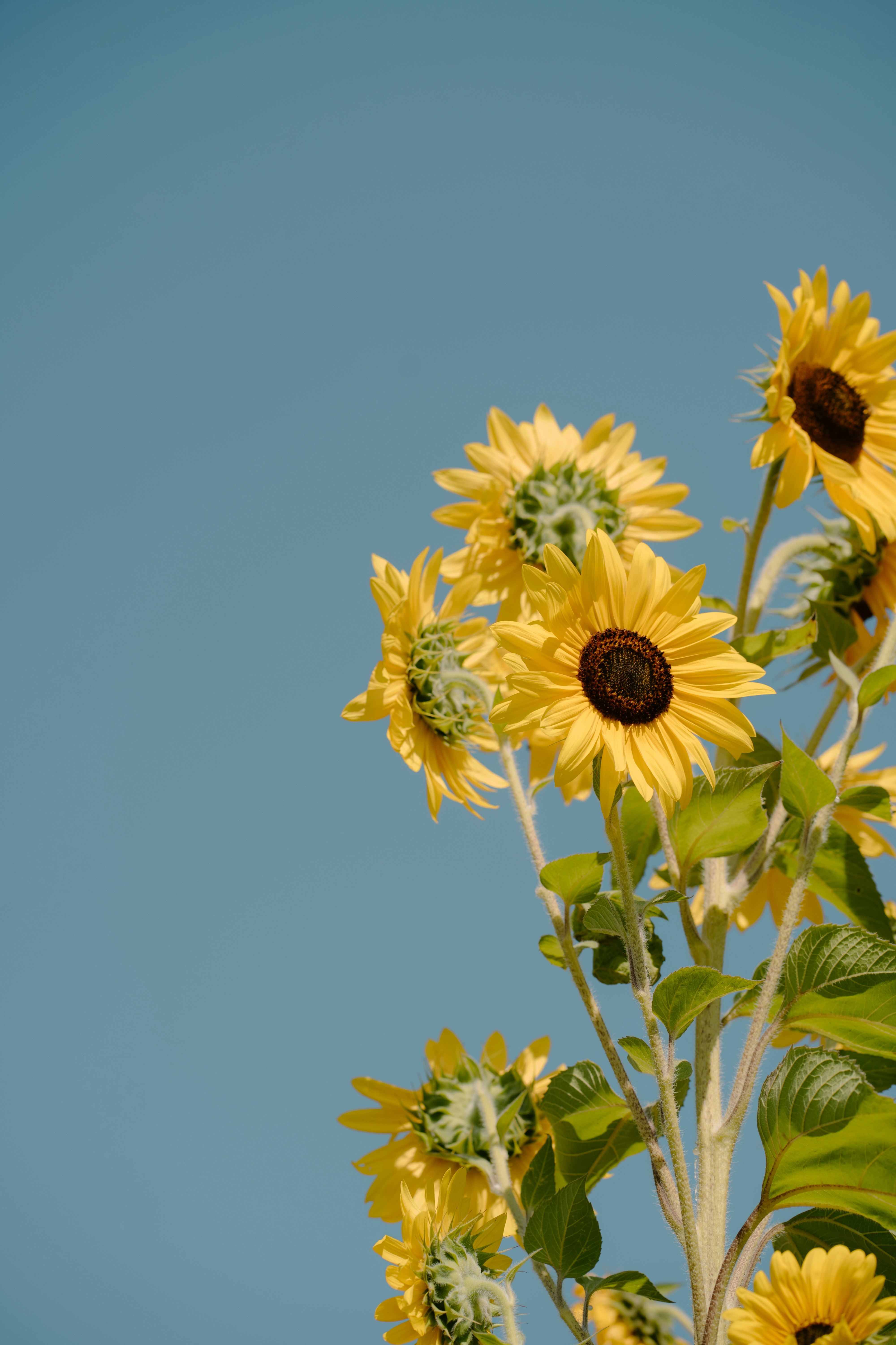 Photo by emilyirenephotoco