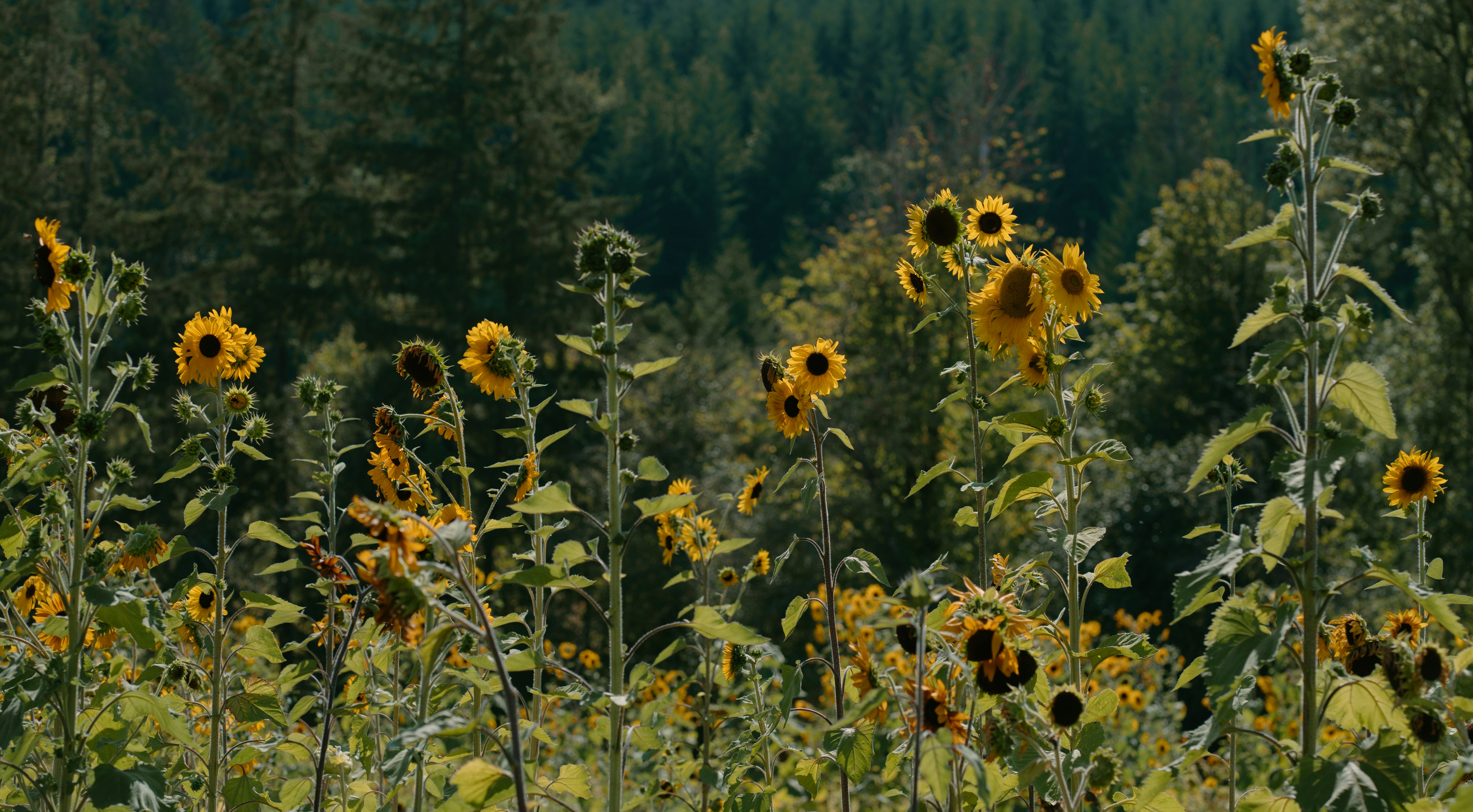 Photo by emilyirenephotoco