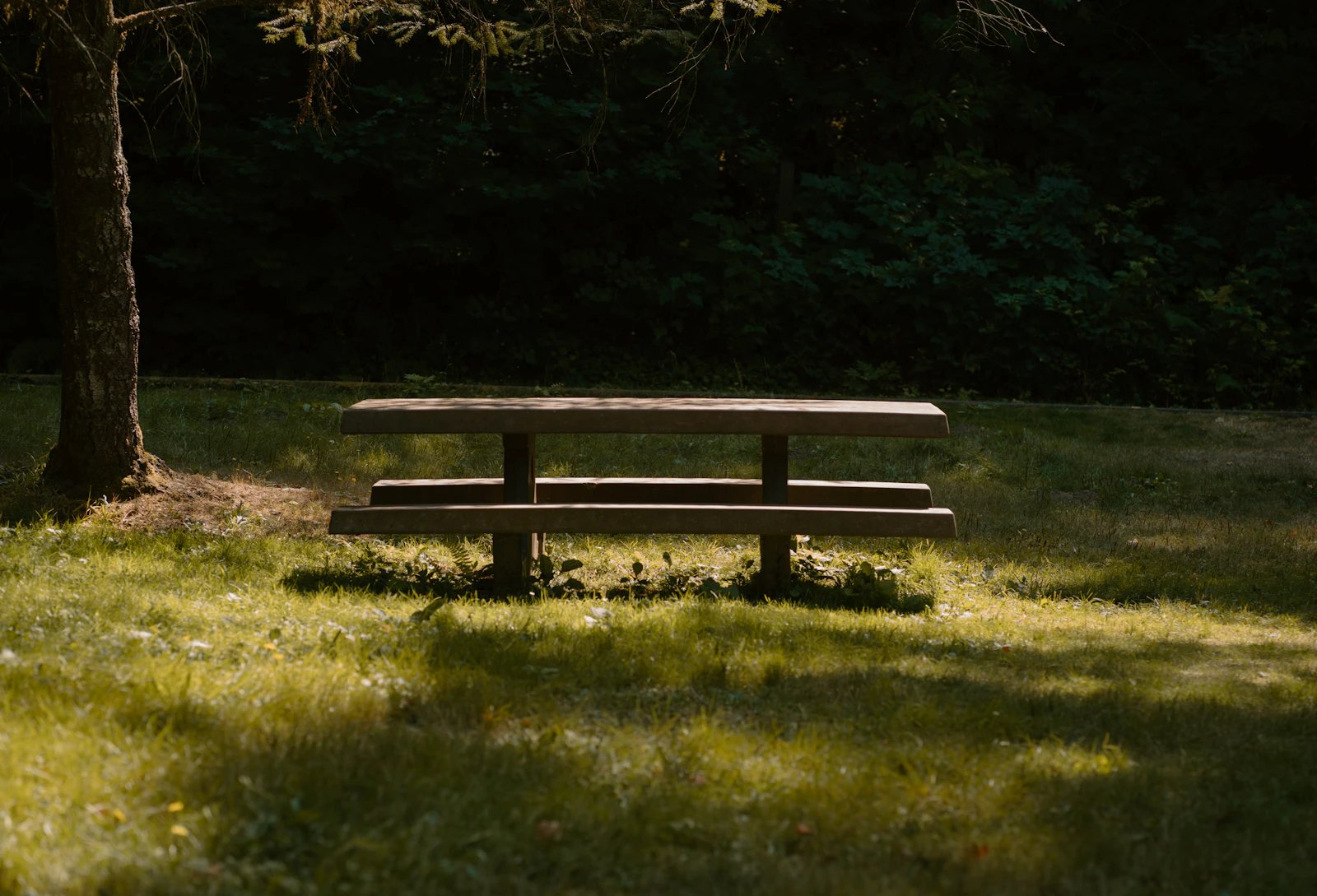 A wooden picnic table on a grassy campsite with sunlight falling across the near side and shade covering the rest