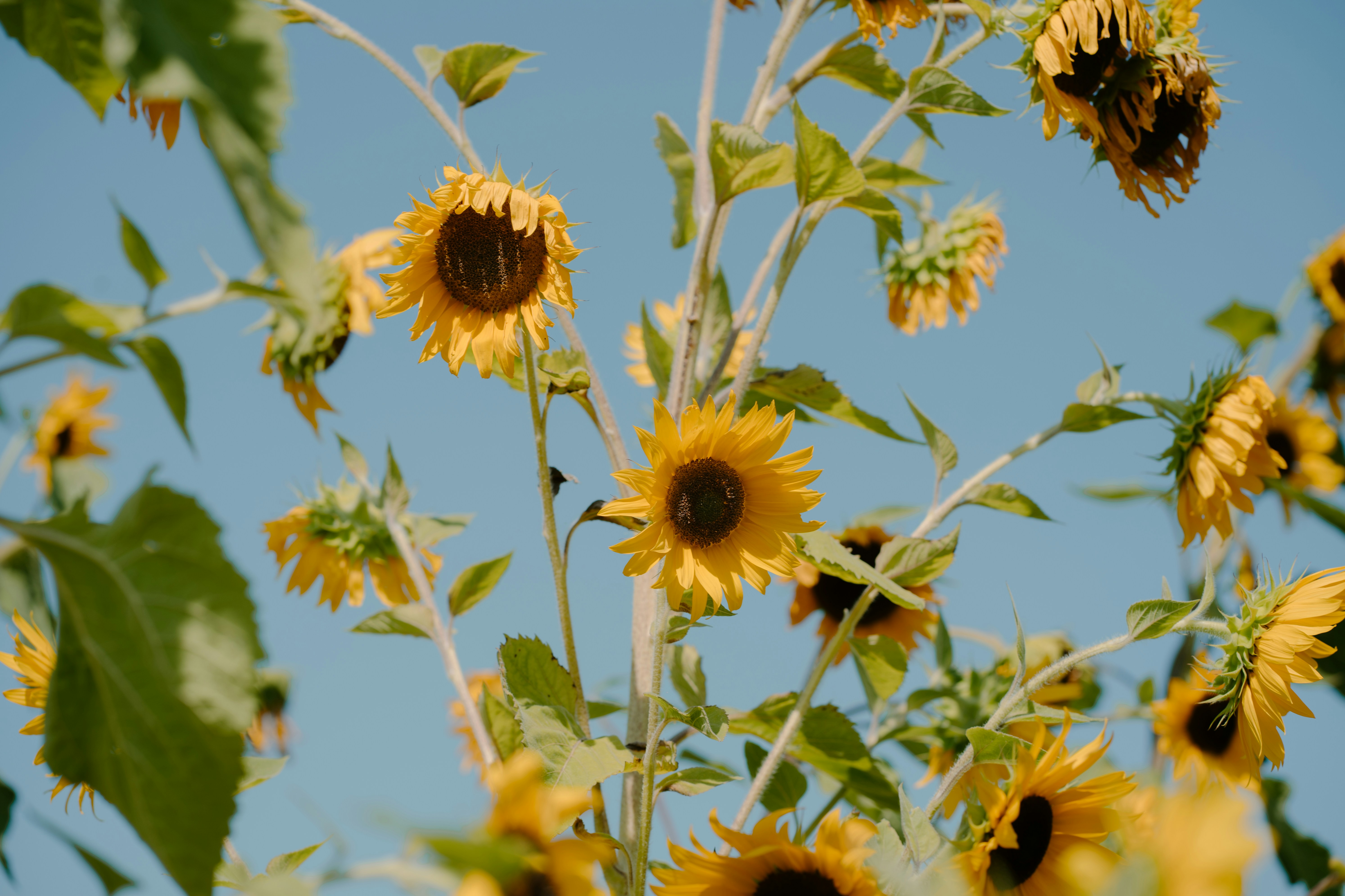 Photo by emilyirenephotoco