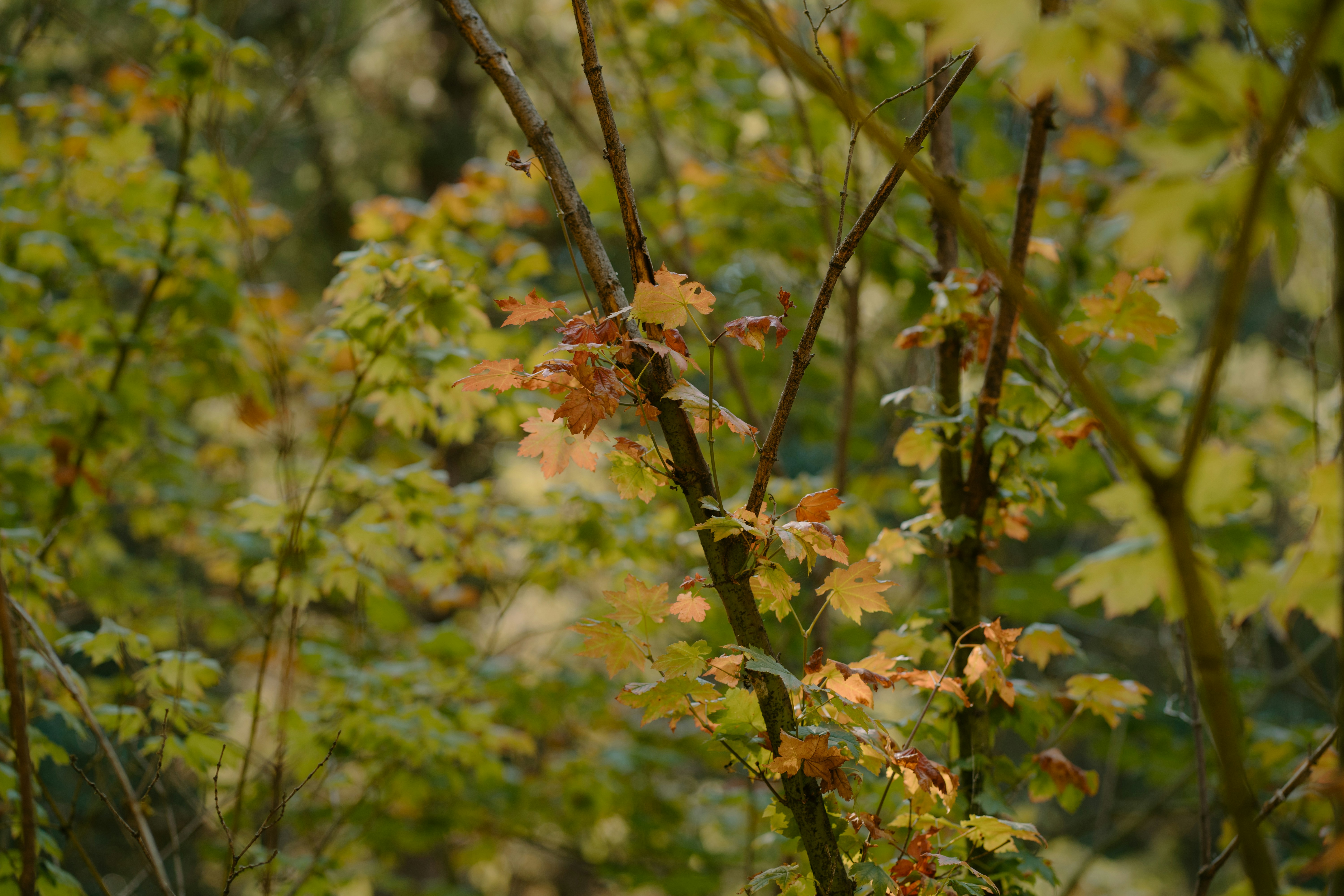 Photo by emilyirenephotoco