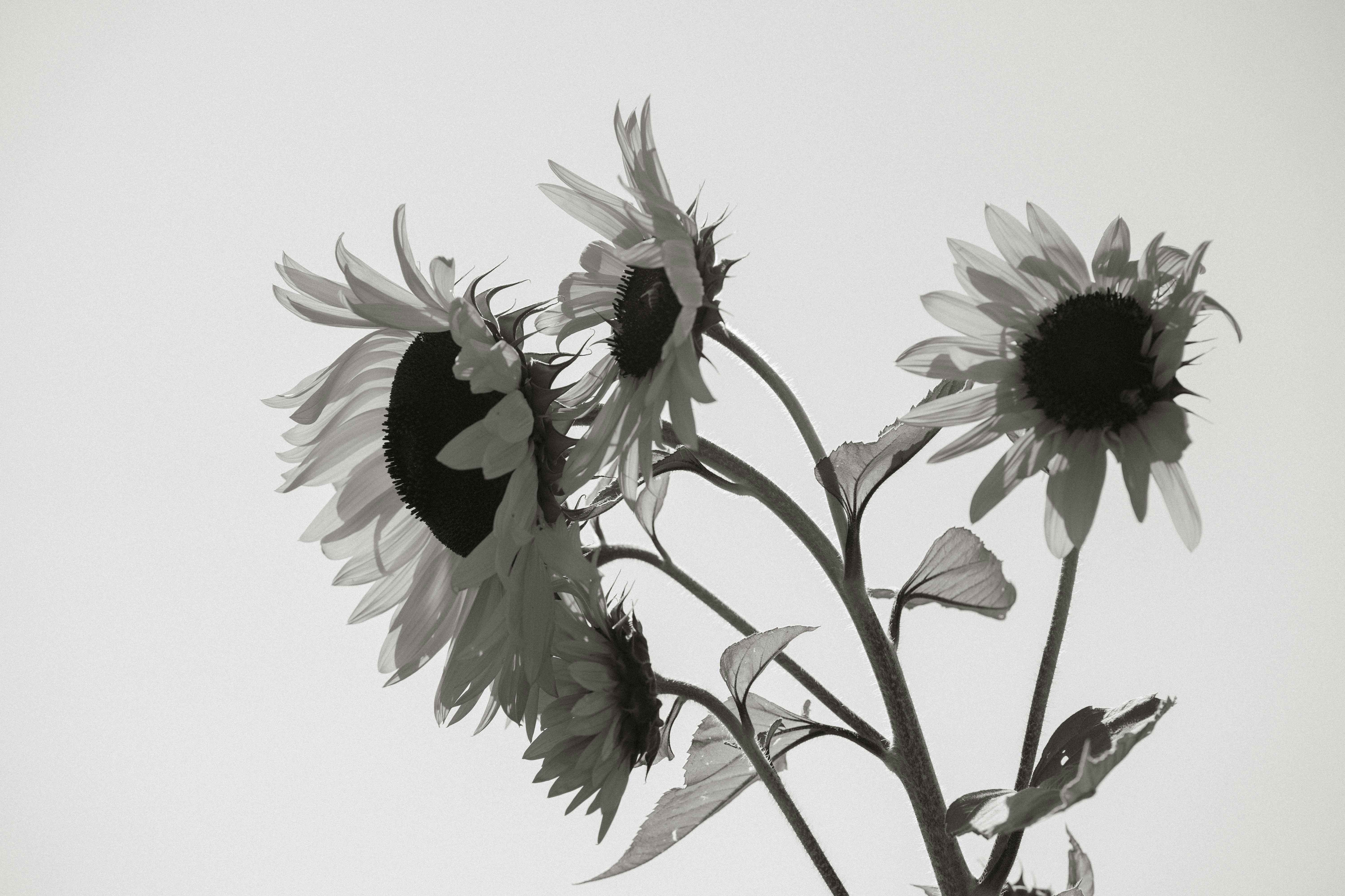 Photo by emilyirenephotoco