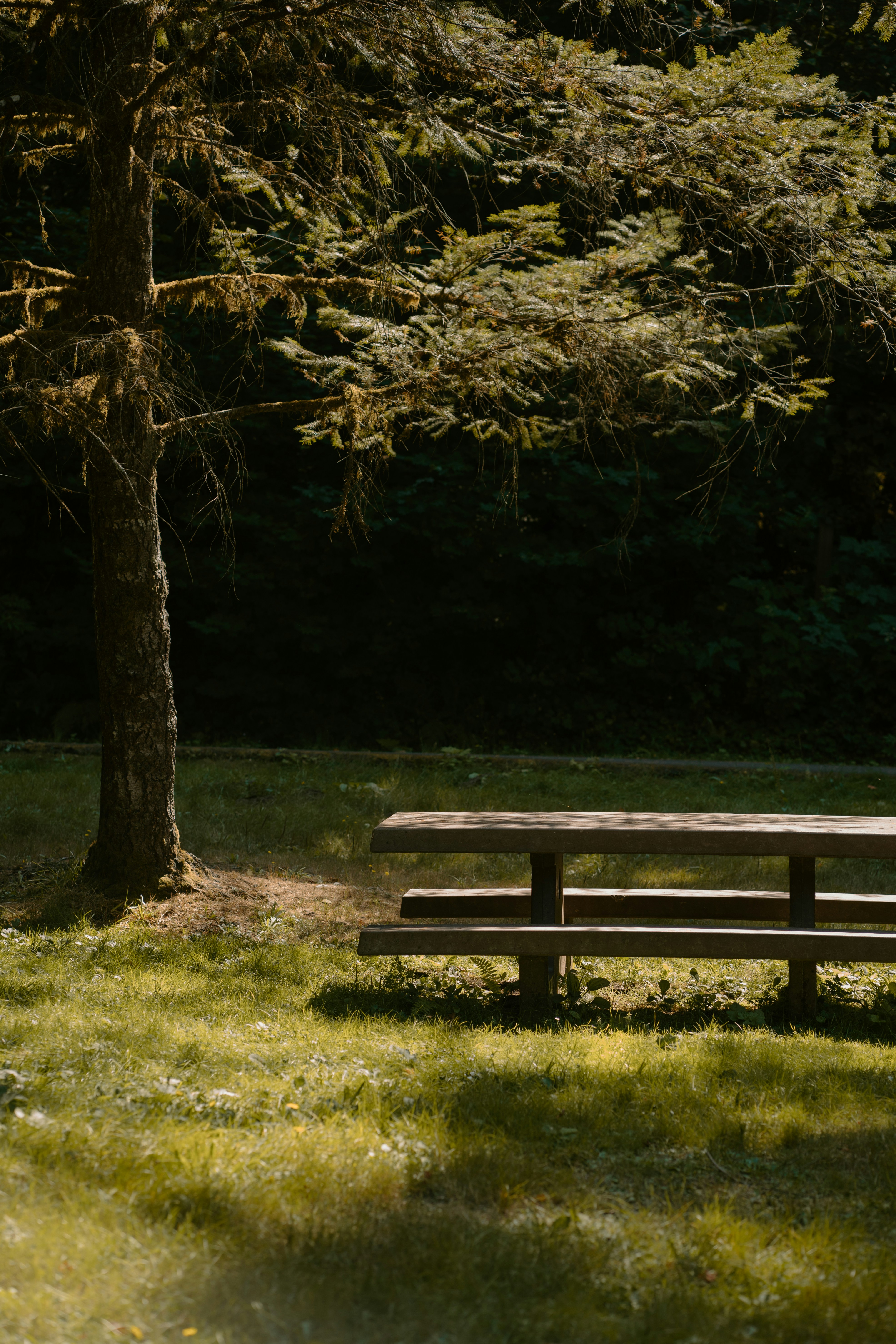 Photo by emilyirenephotoco