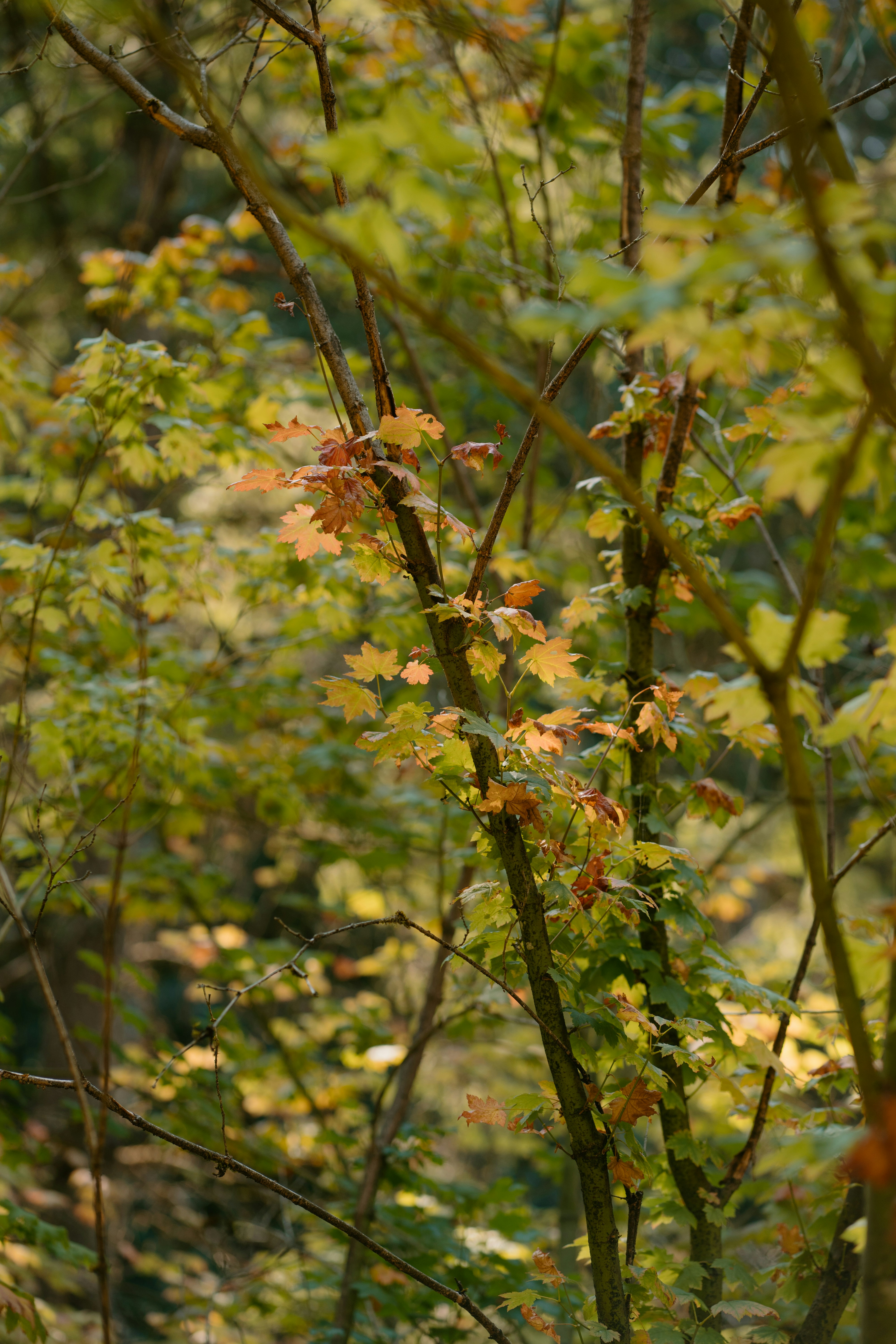 Photo by emilyirenephotoco