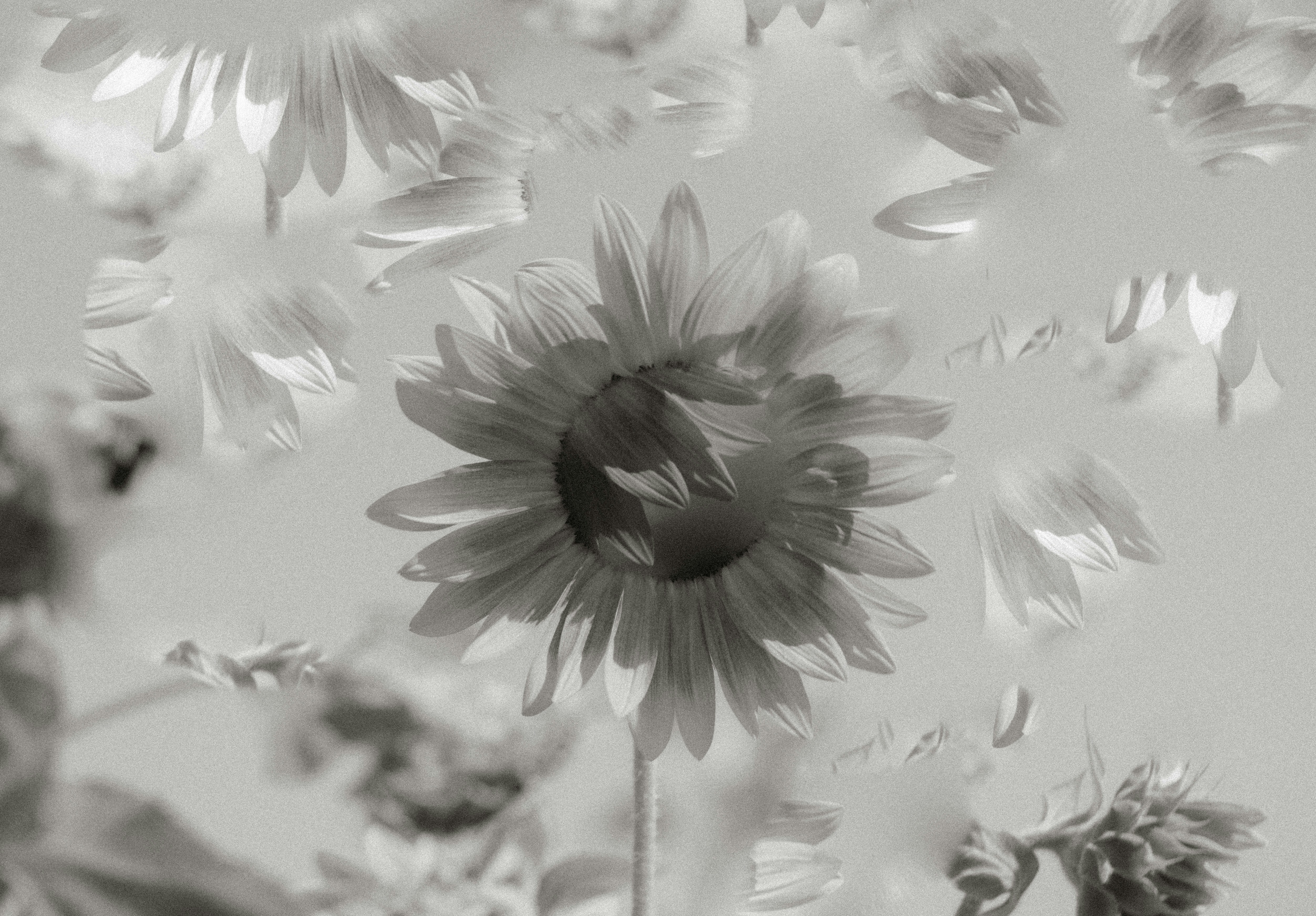 Photo by emilyirenephotoco