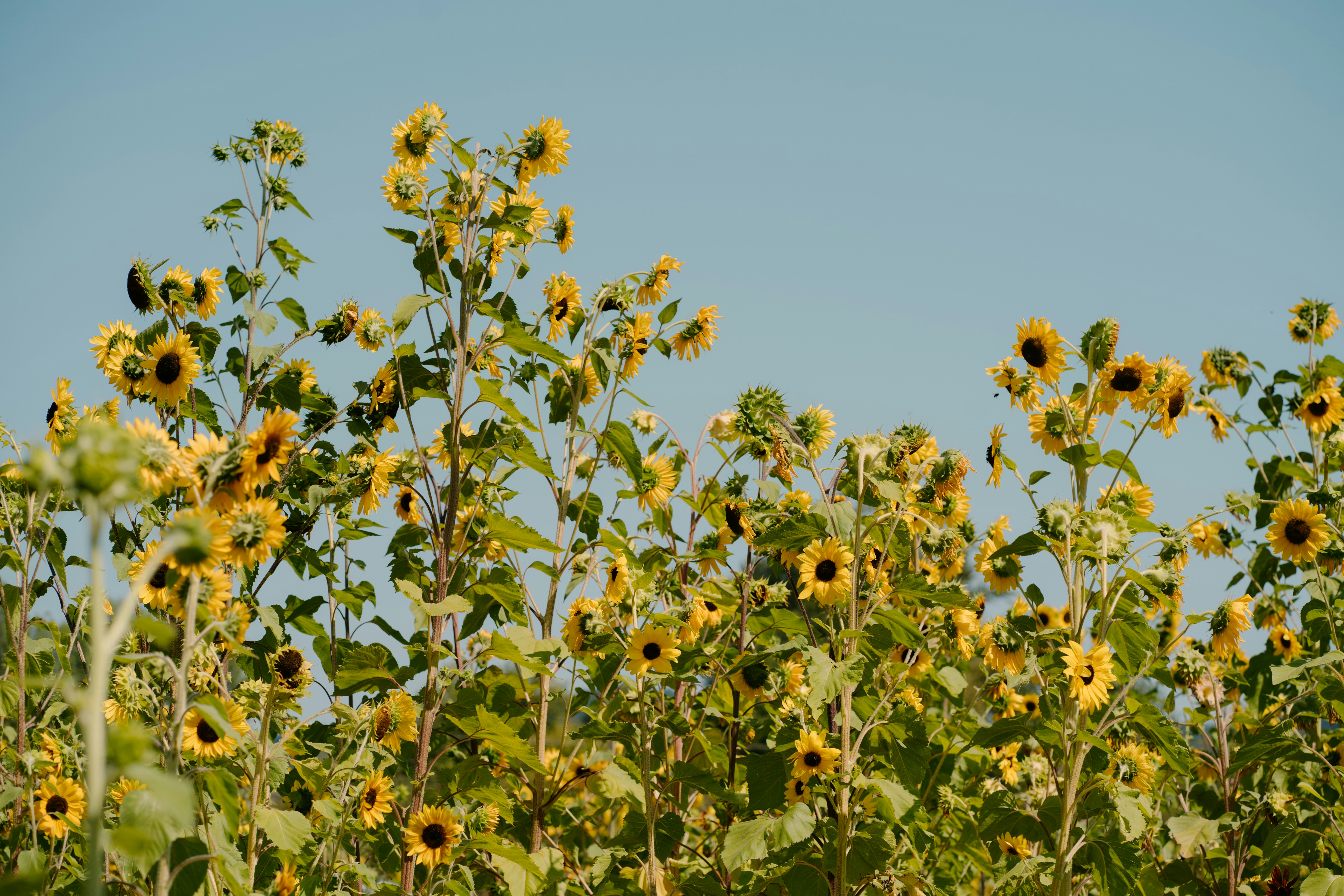 Photo by emilyirenephotoco