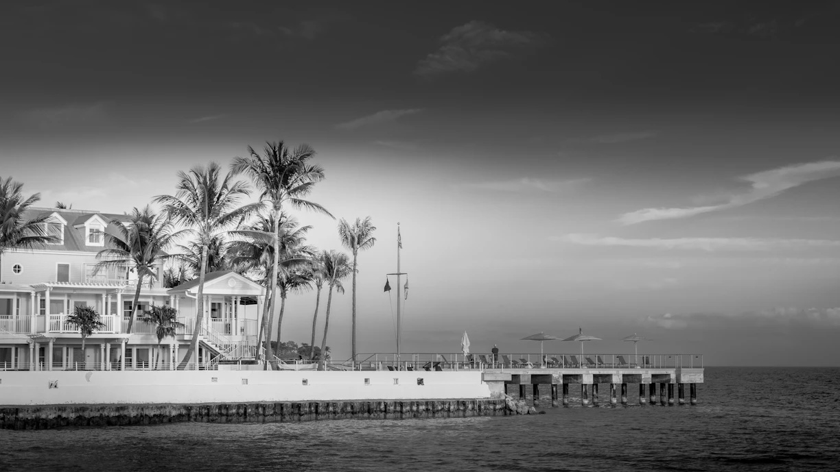 White building with palm trees and pier by the ocean
