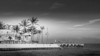 White building with palm trees and pier by the ocean