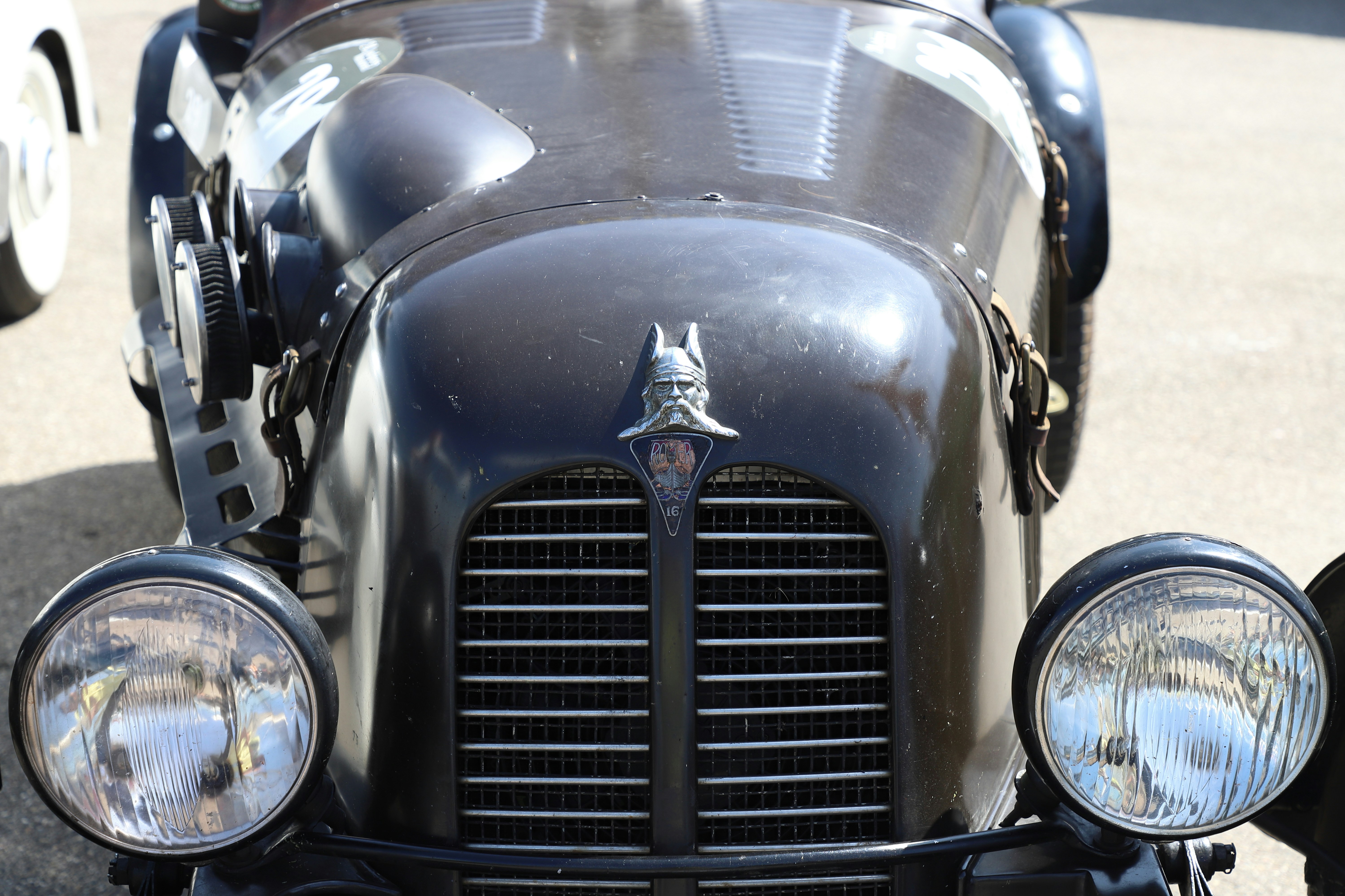 Photo by carpenterbees