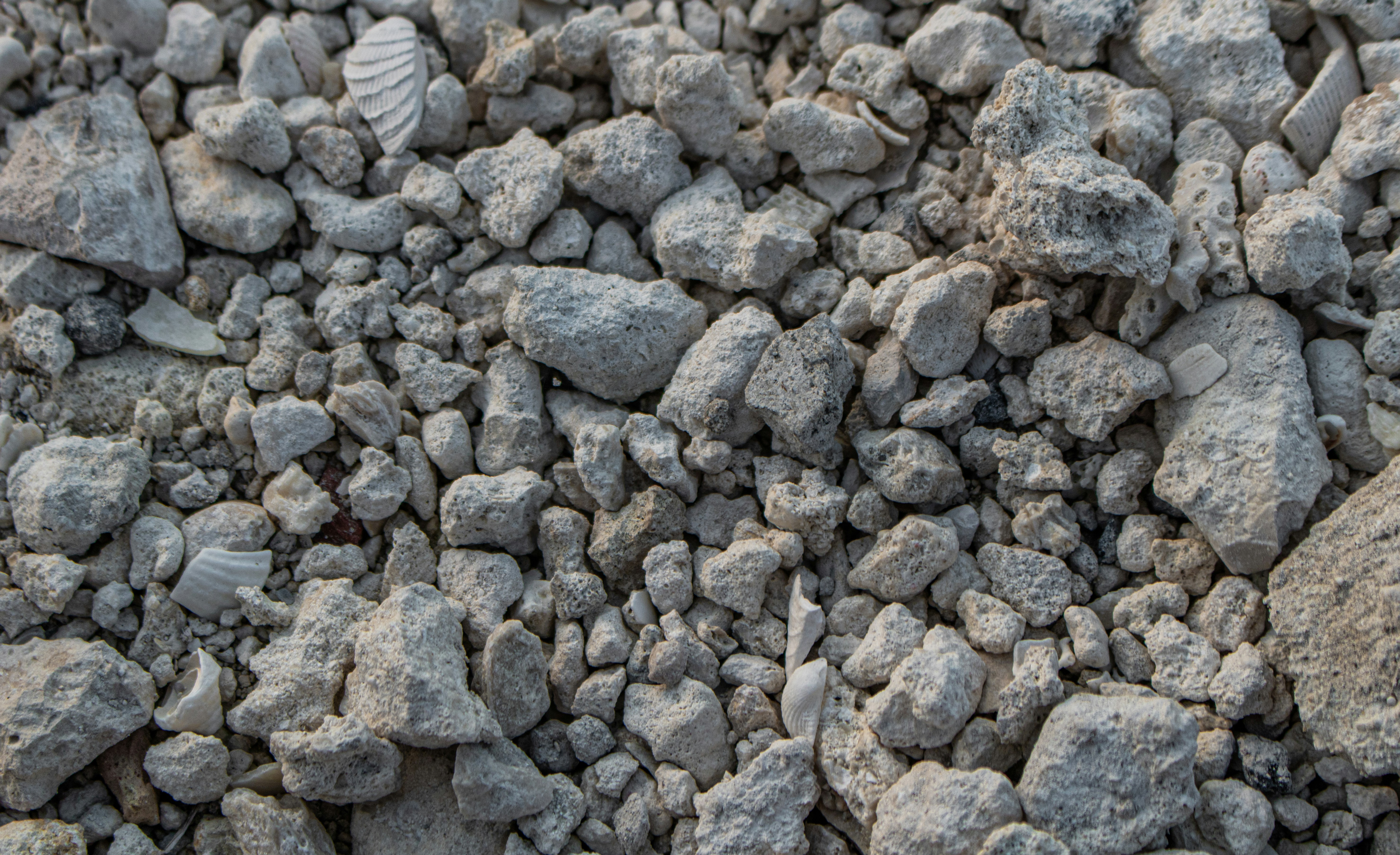 Photo by zoshuacolah