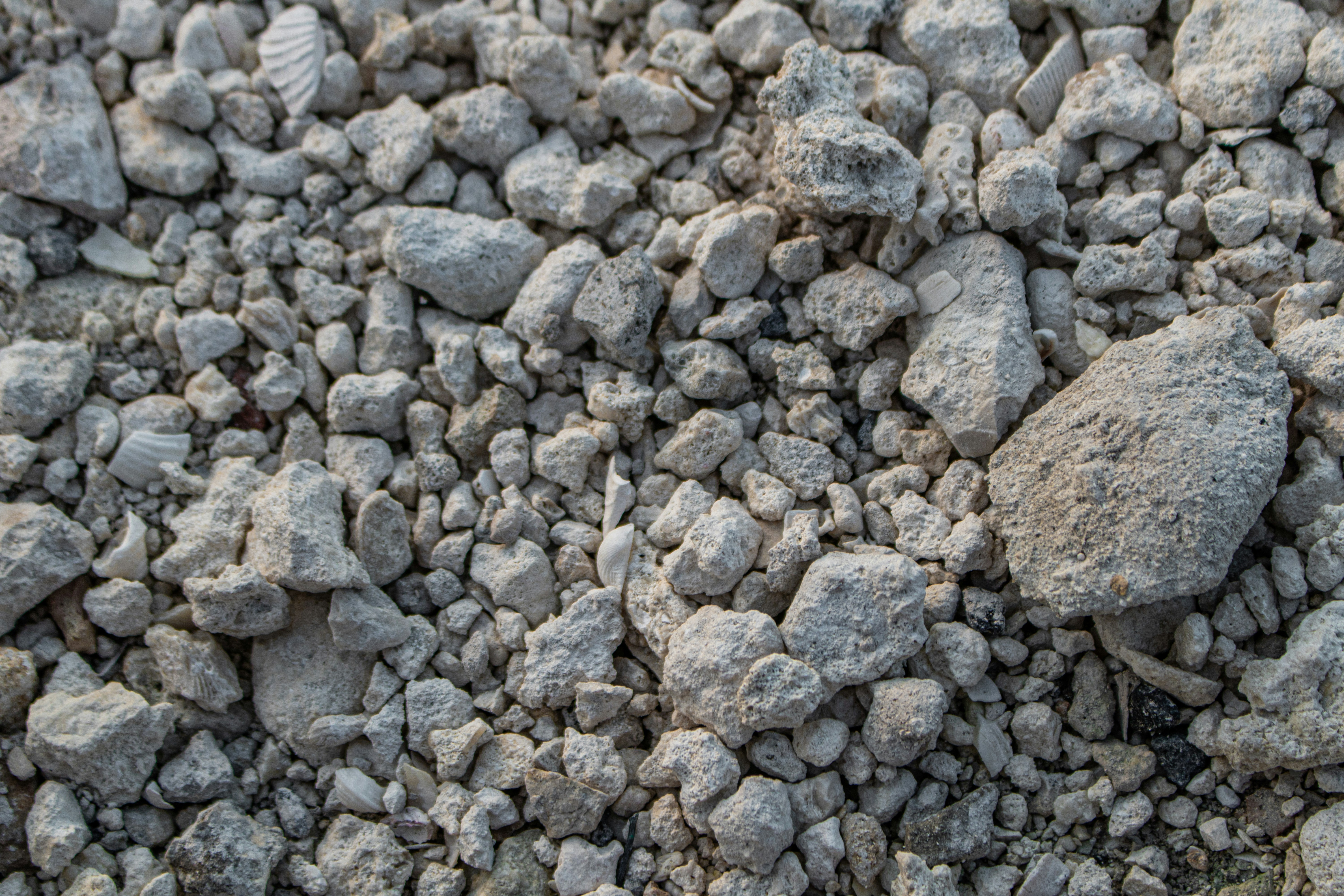 Photo by zoshuacolah