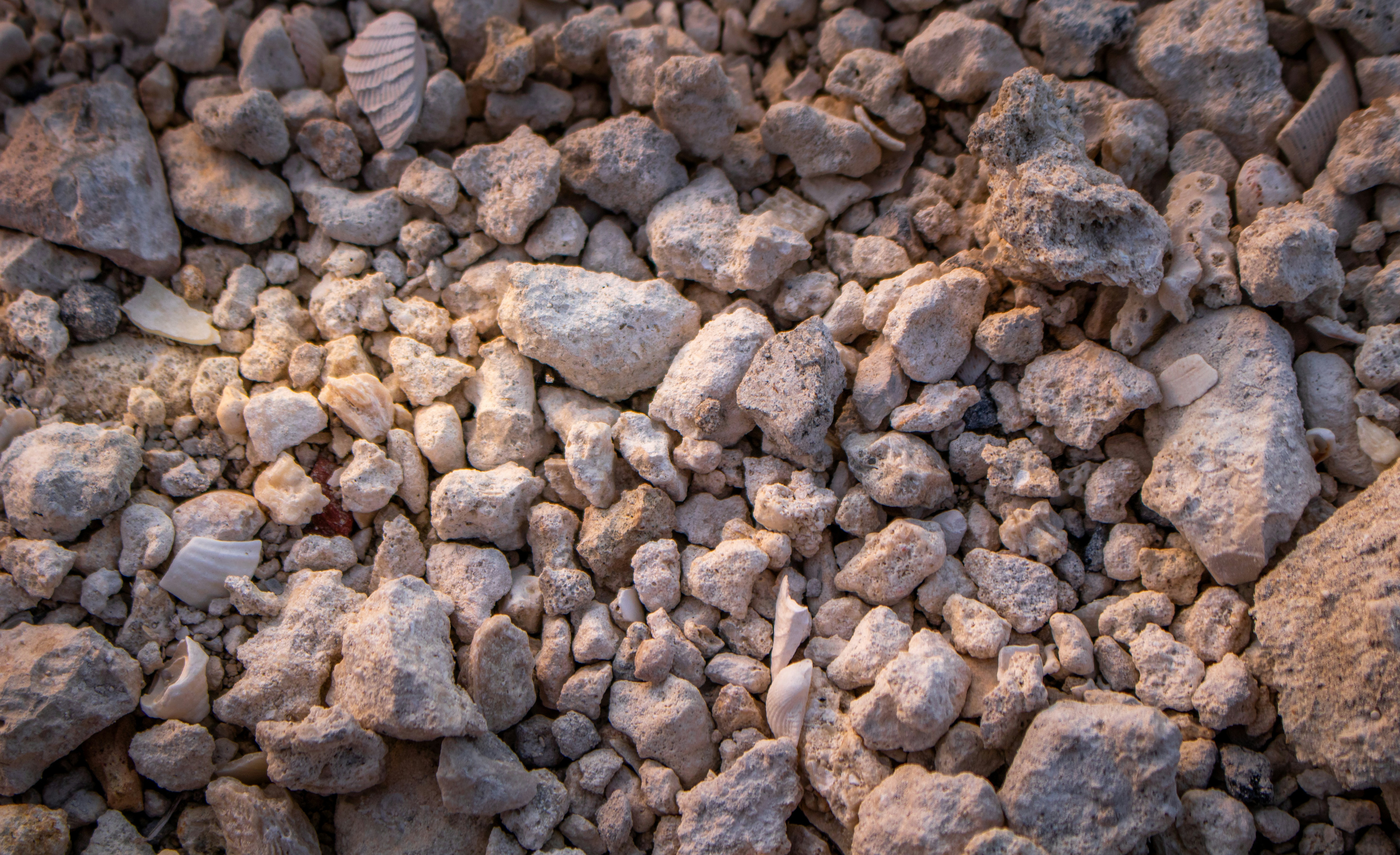 Photo by zoshuacolah