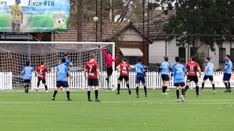 Soccer players competing for the ball near the goal.