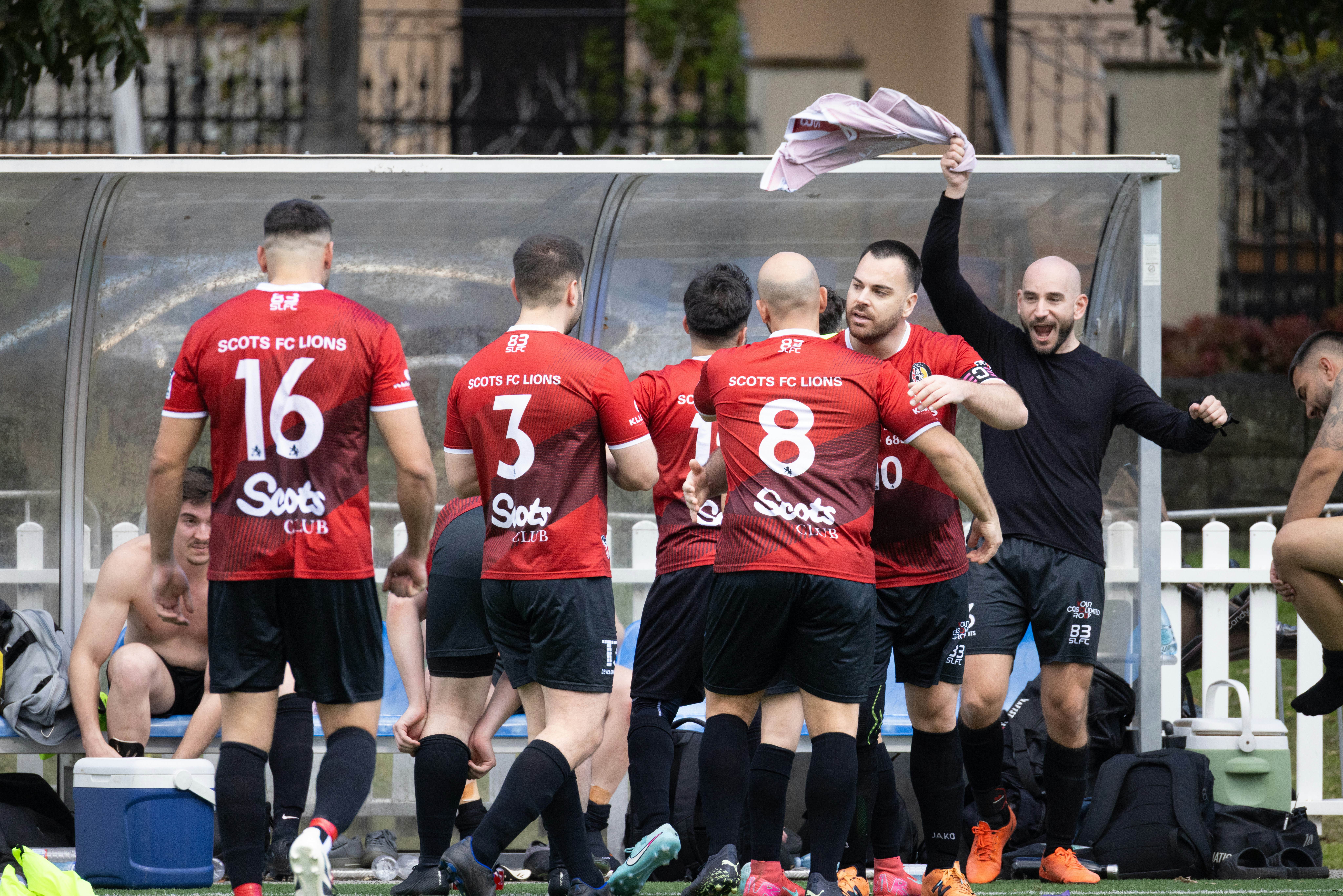 Sortiere diese deutschen Fußball-Bundesliga-Vereine nach ihrer Anzahl an Meistertiteln – vom meisten zum wenigsten!