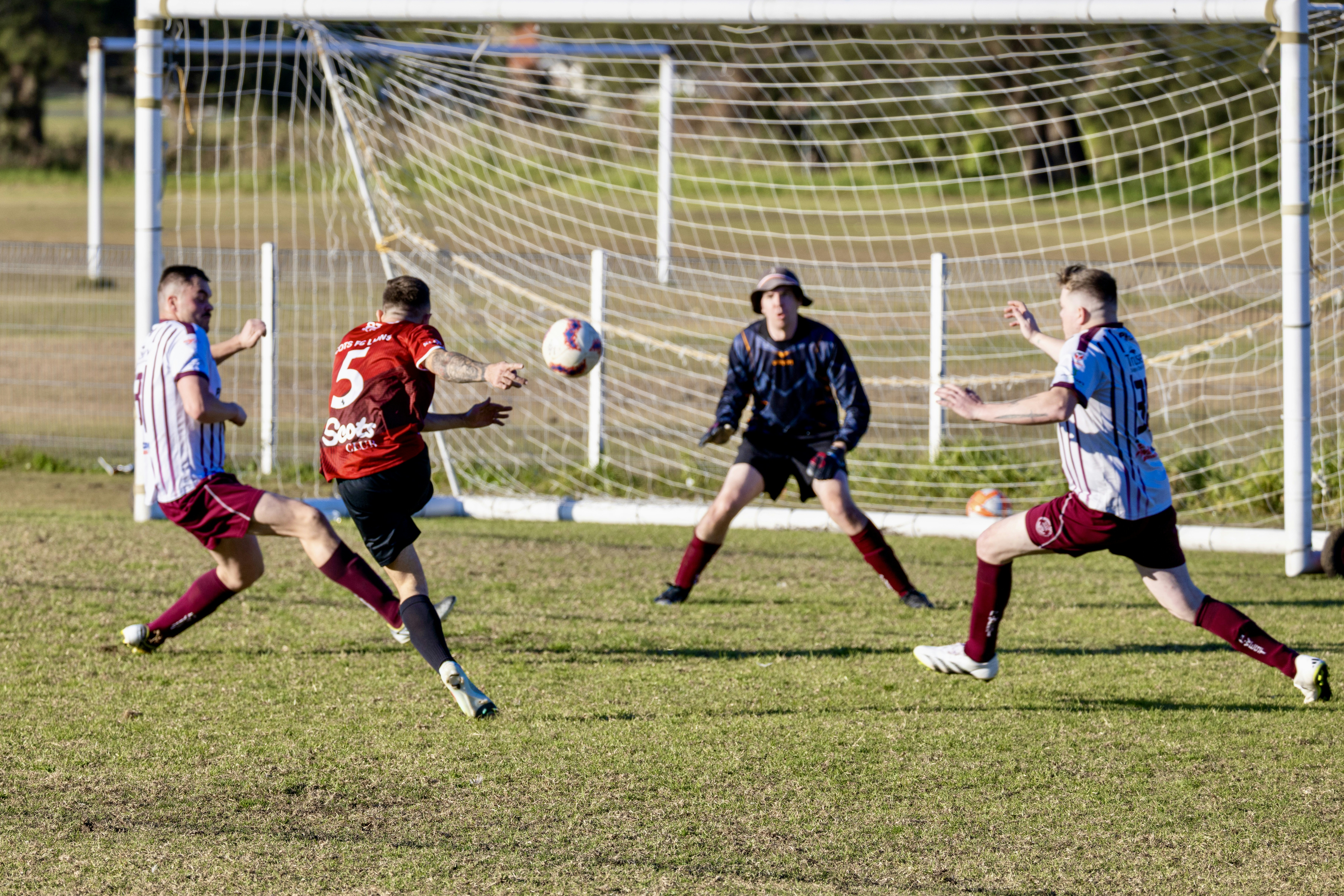 Photo by niharjreddy