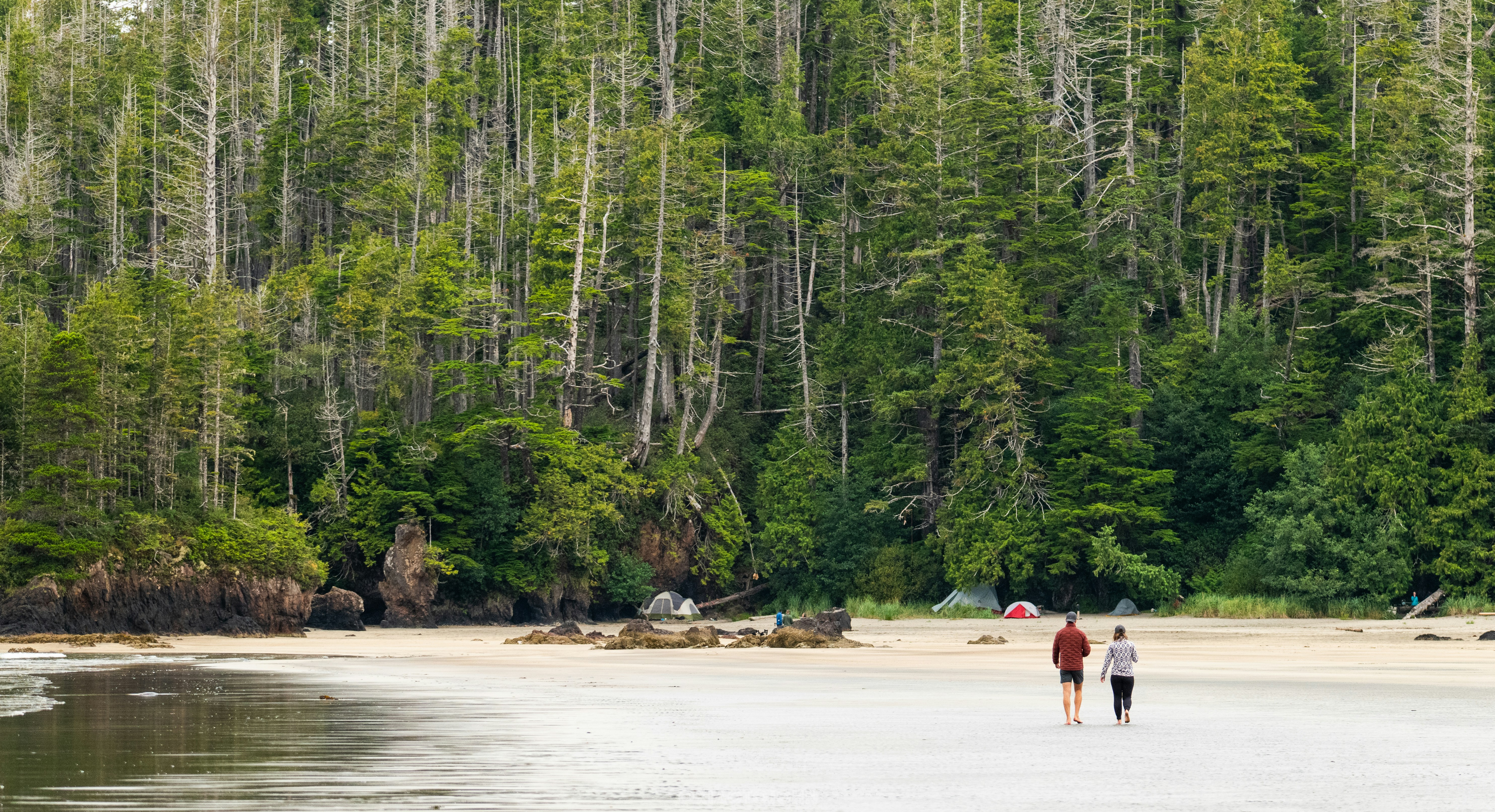 Duas pessoas caminham em uma praia de areia perto de uma floresta.