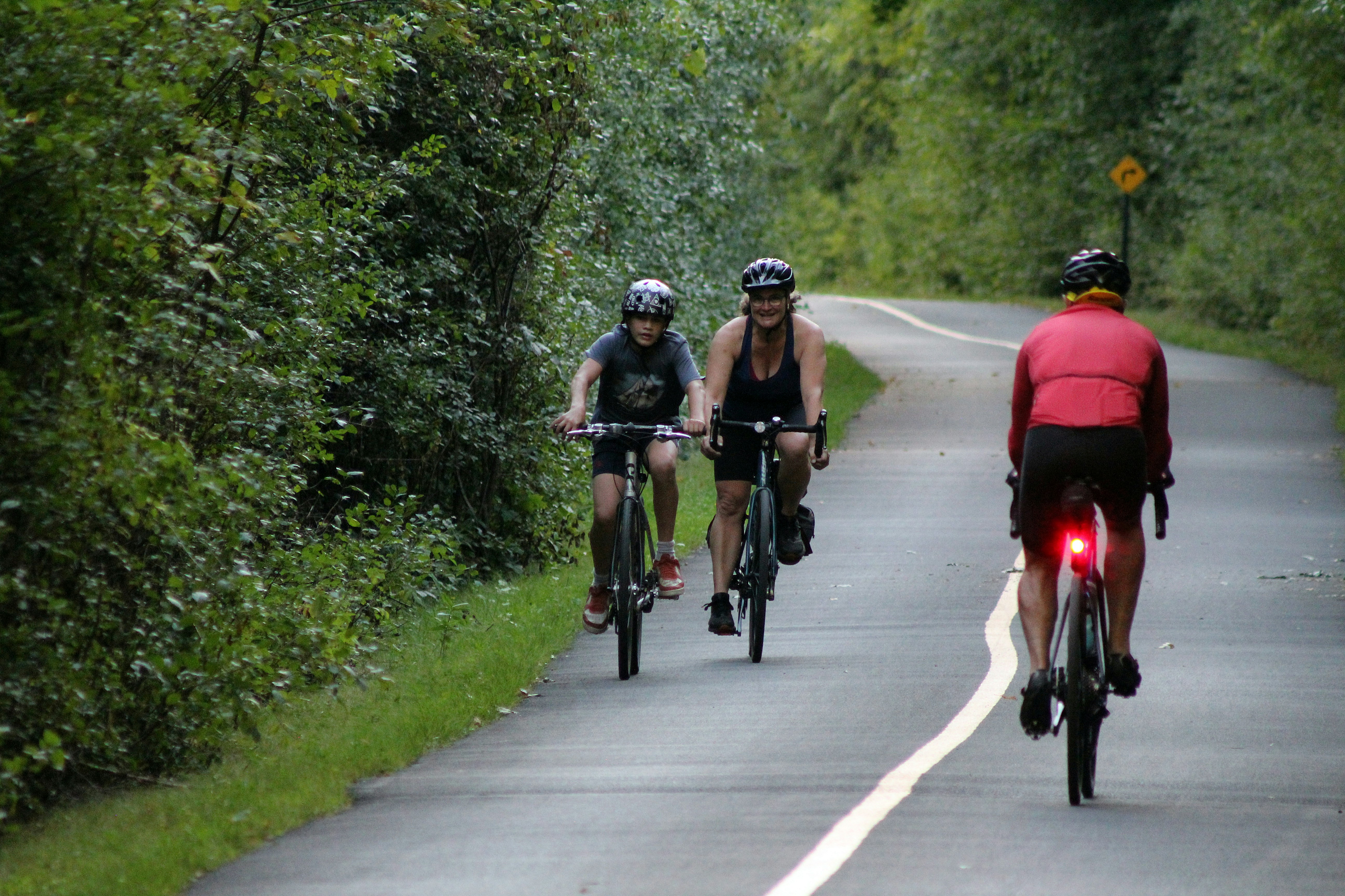 Three people cycling on a paved path through trees.