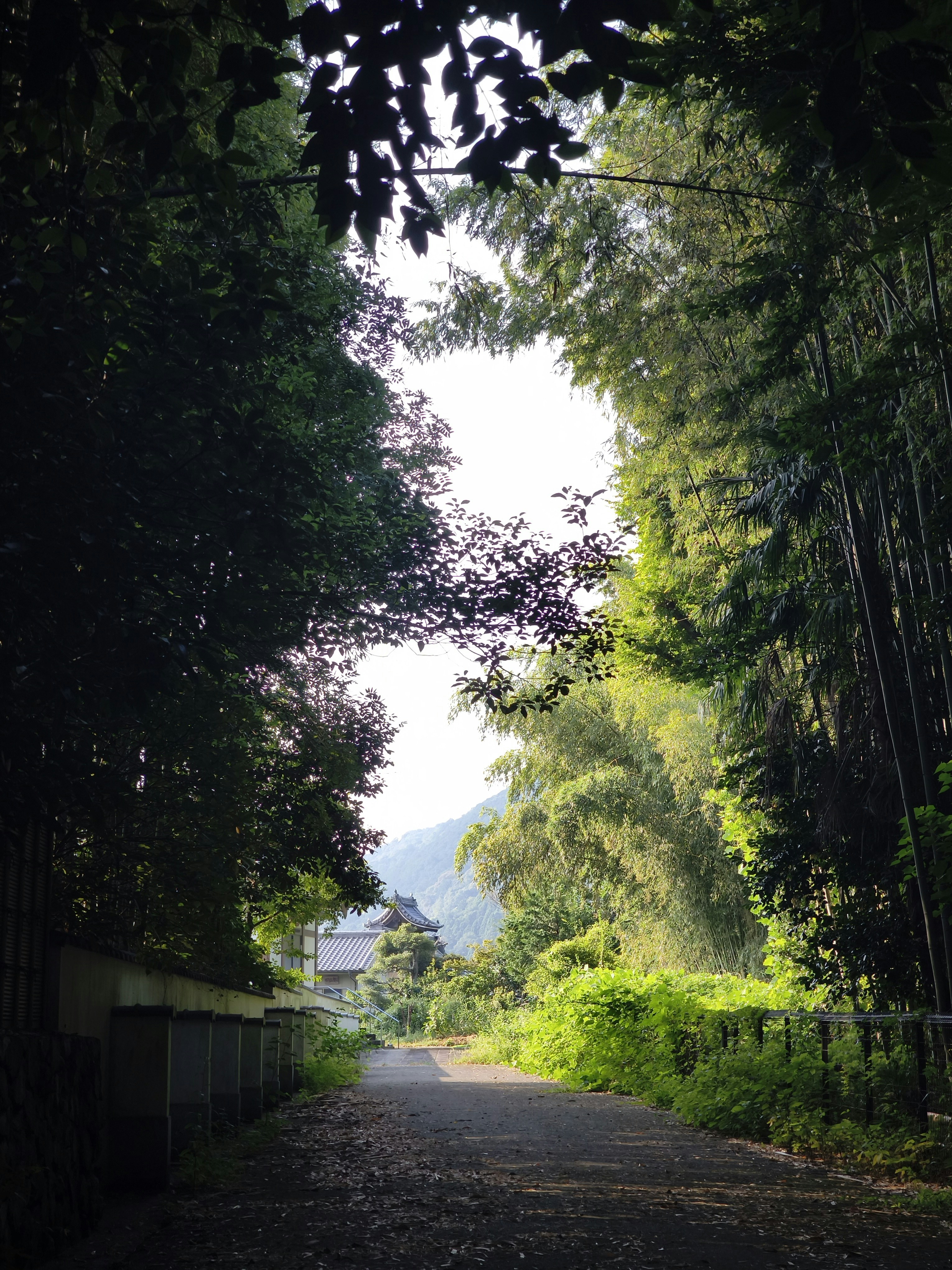 Photo by stvassa