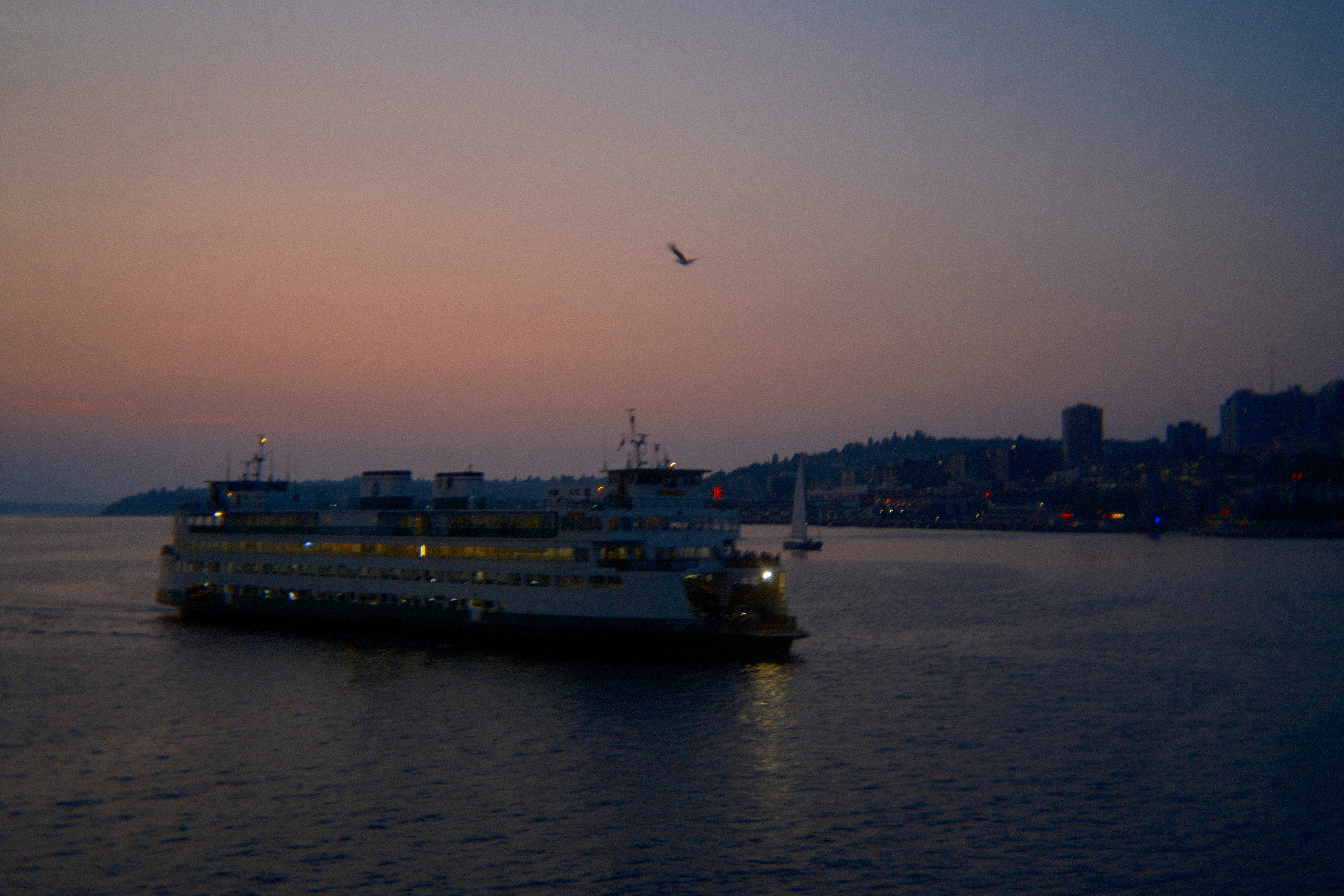 Ferry boat sailing on water at dusk.