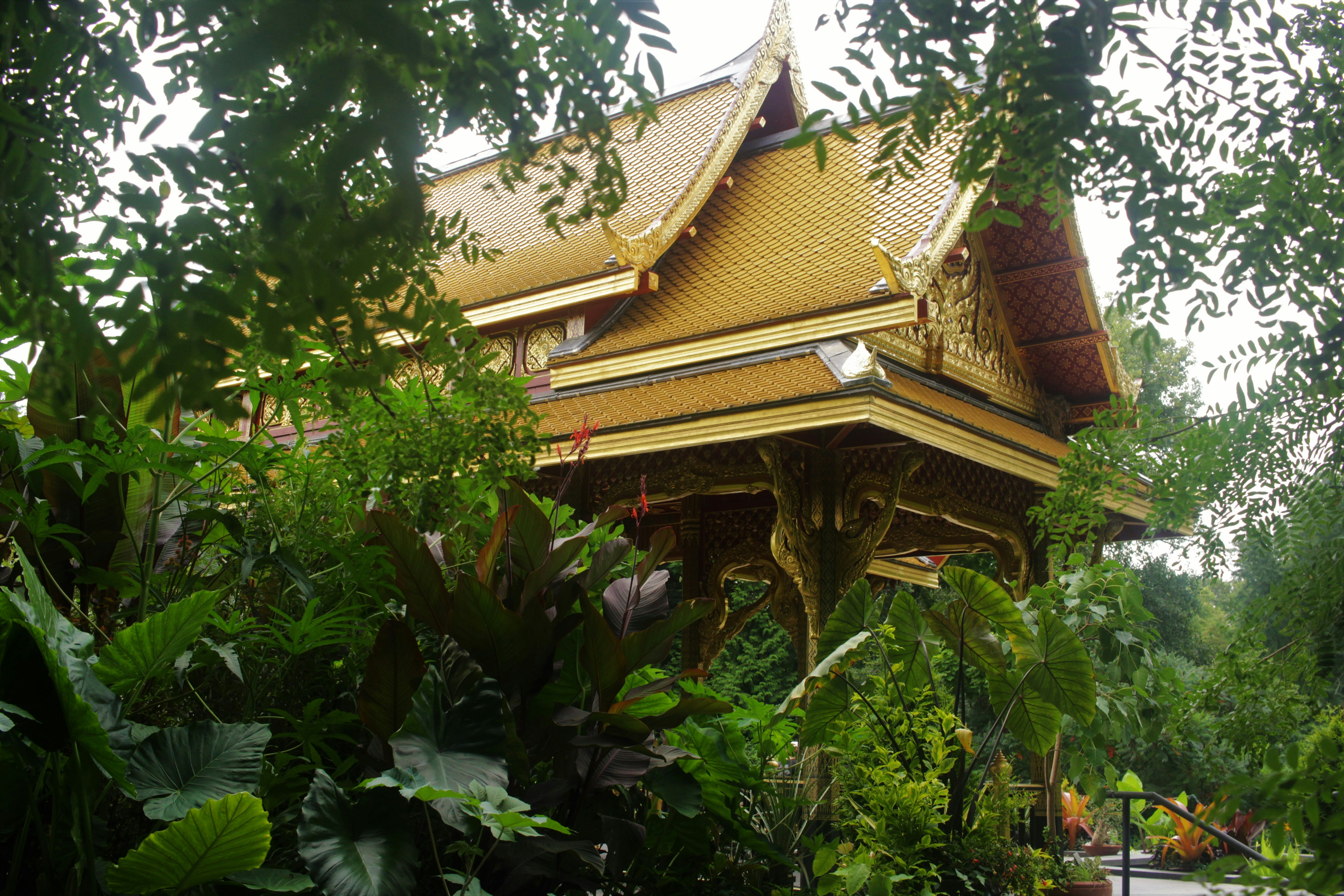 Trivia nights in Madison, United States