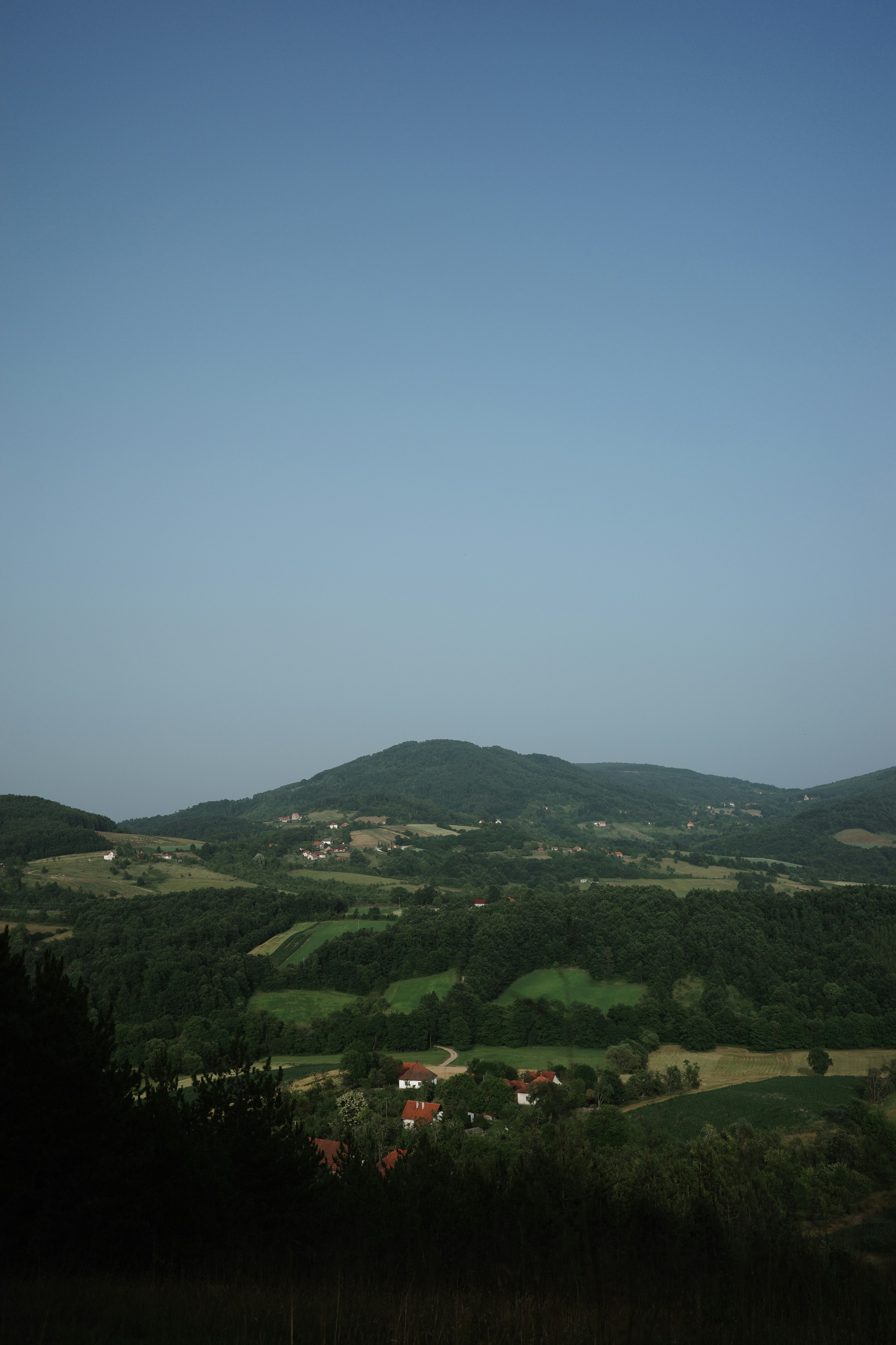 Photo by dmitrii_filatov