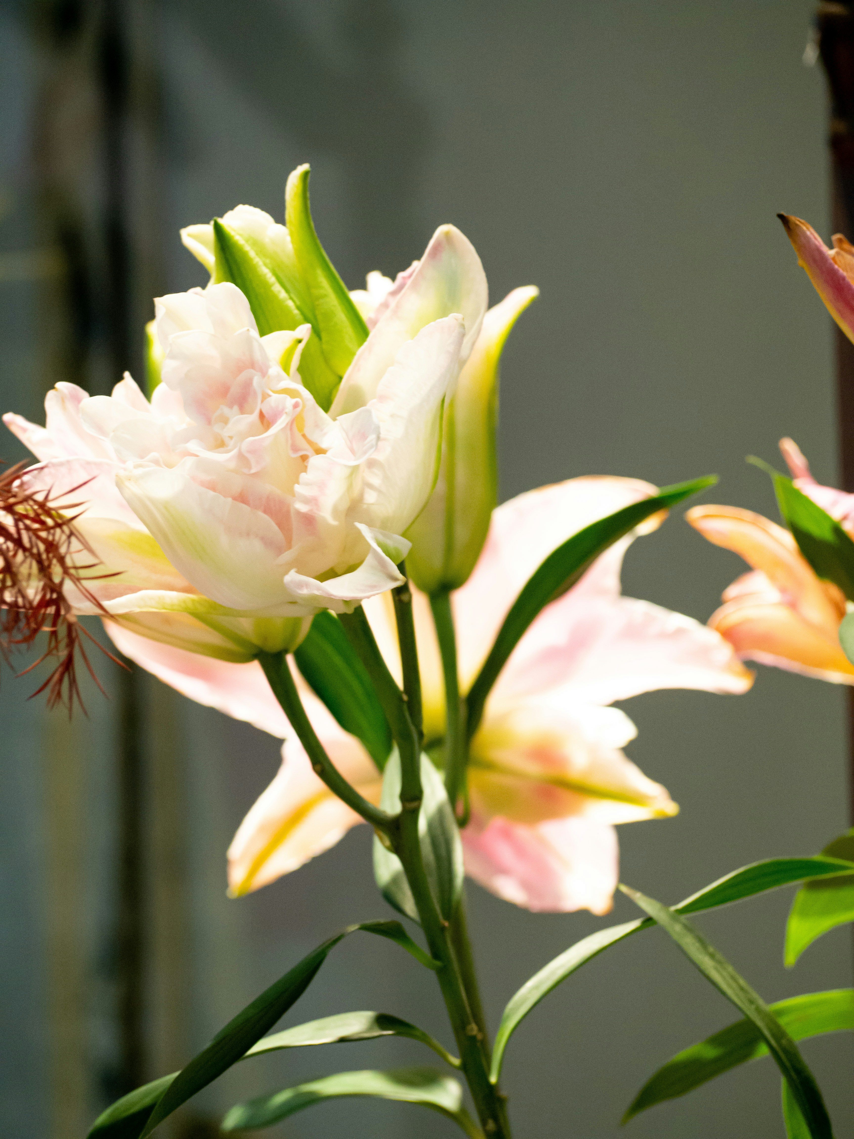 Photo by siriusharrison