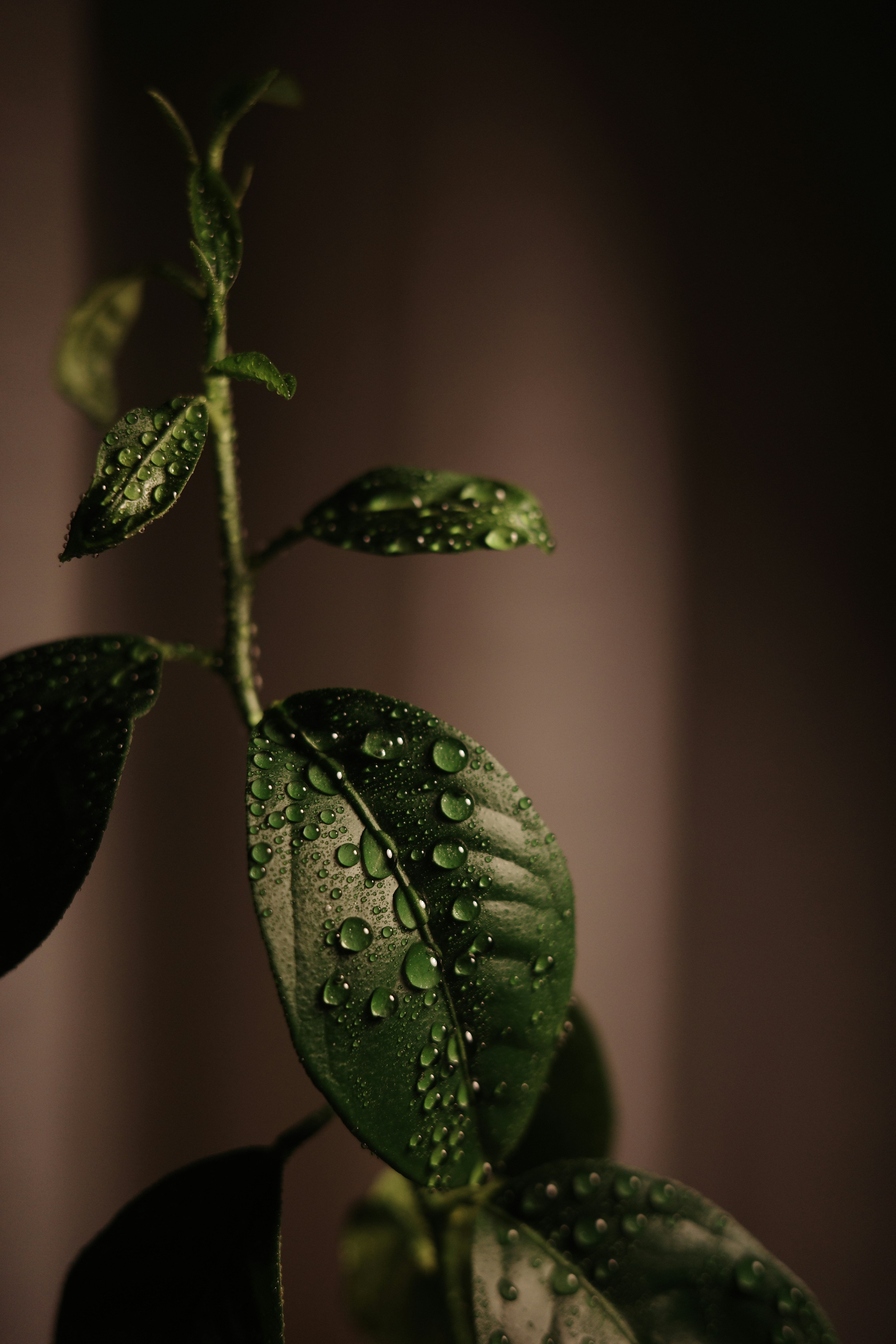 Photo by dmitrii_filatov