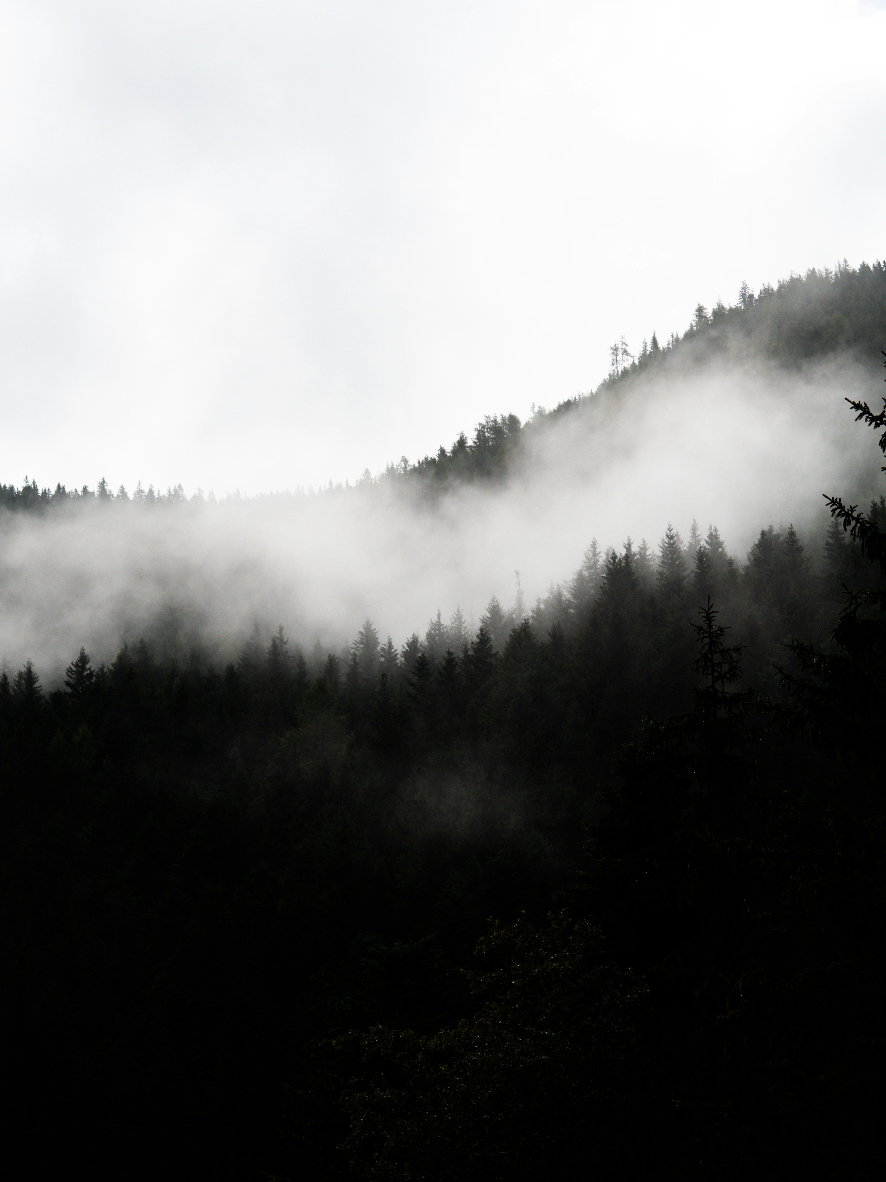 Photo by hawkins2023