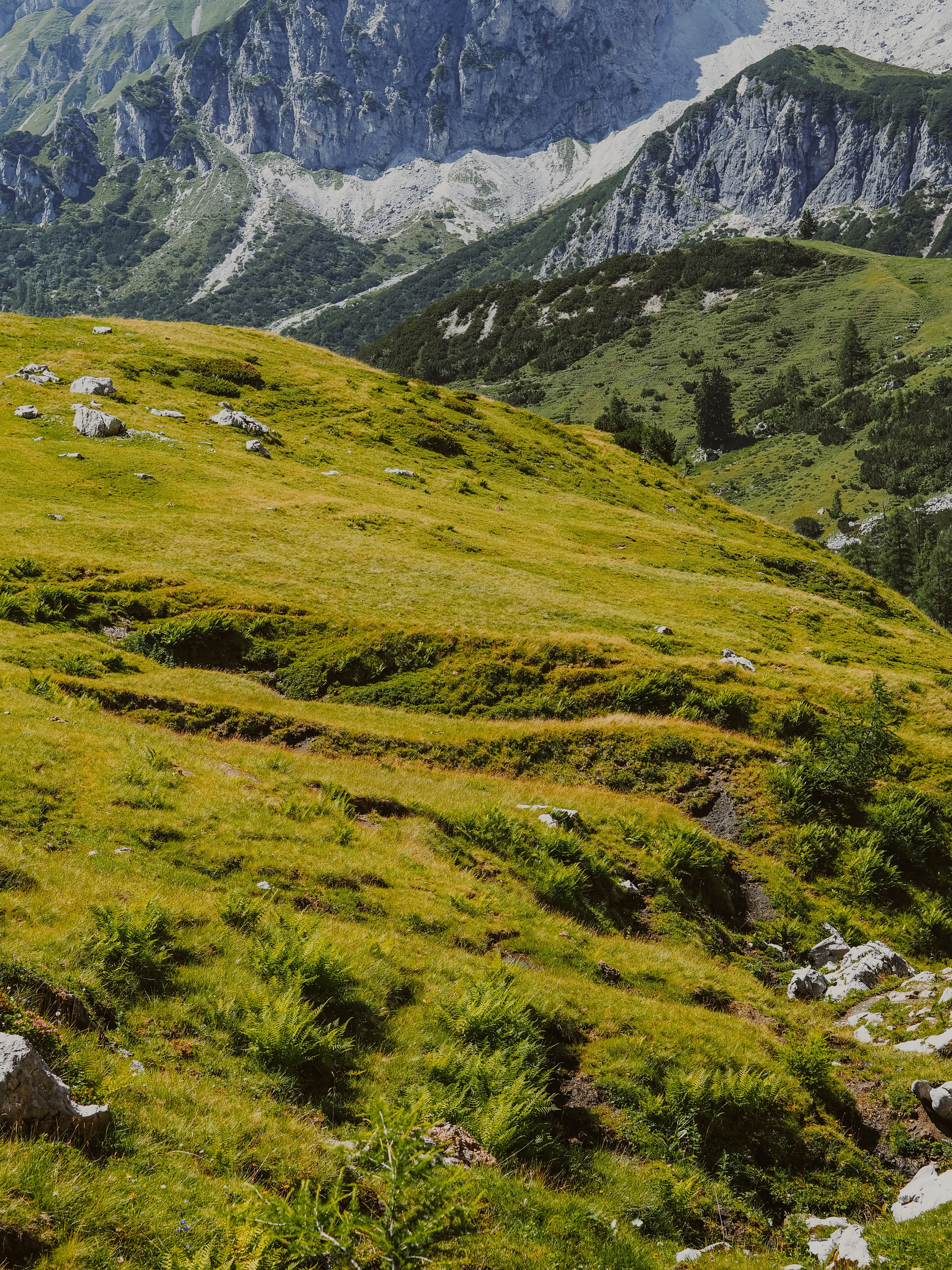 Photo by hawkins2023