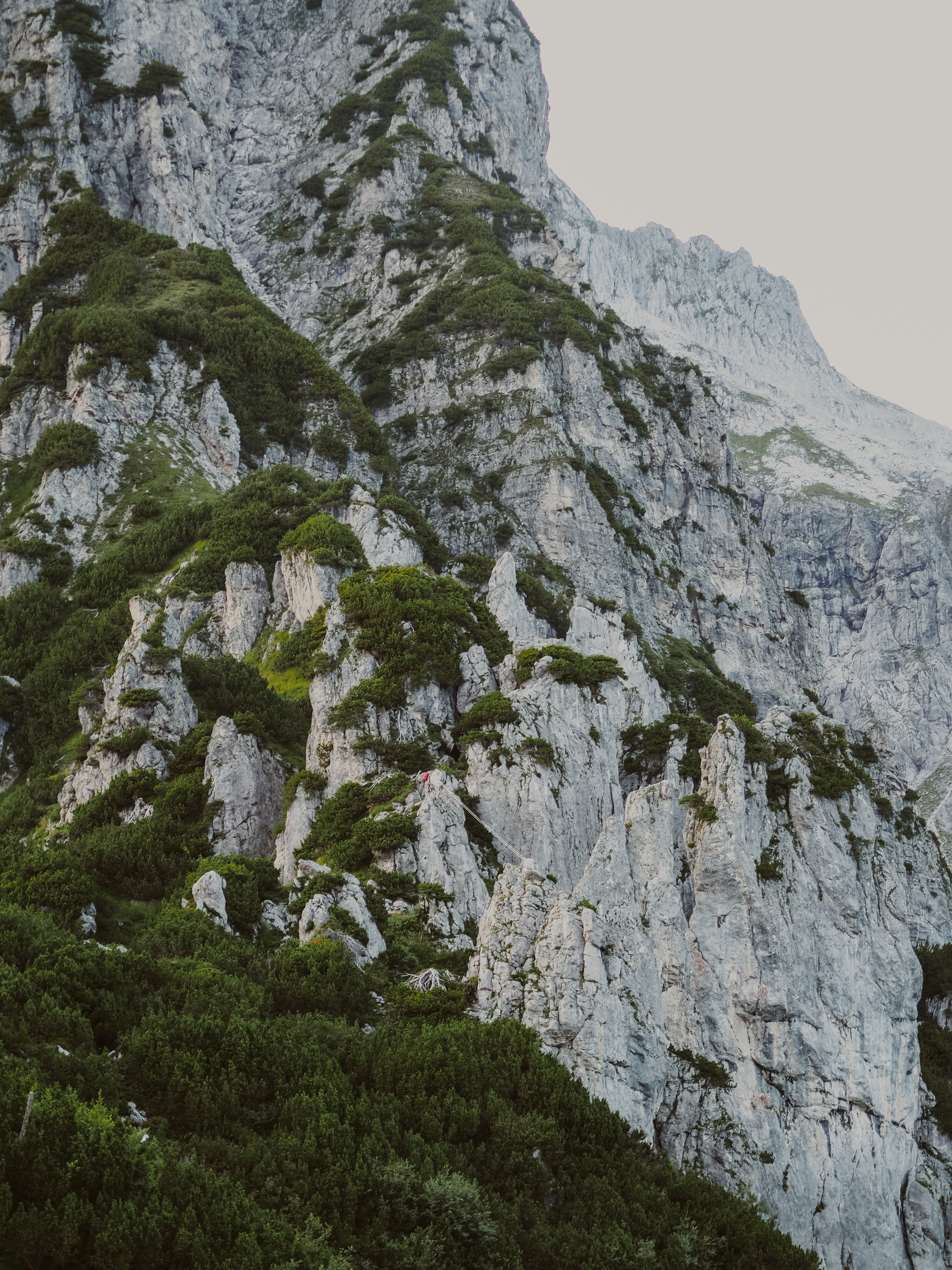 Jagged rocky mountain slopes covered in green foliage
