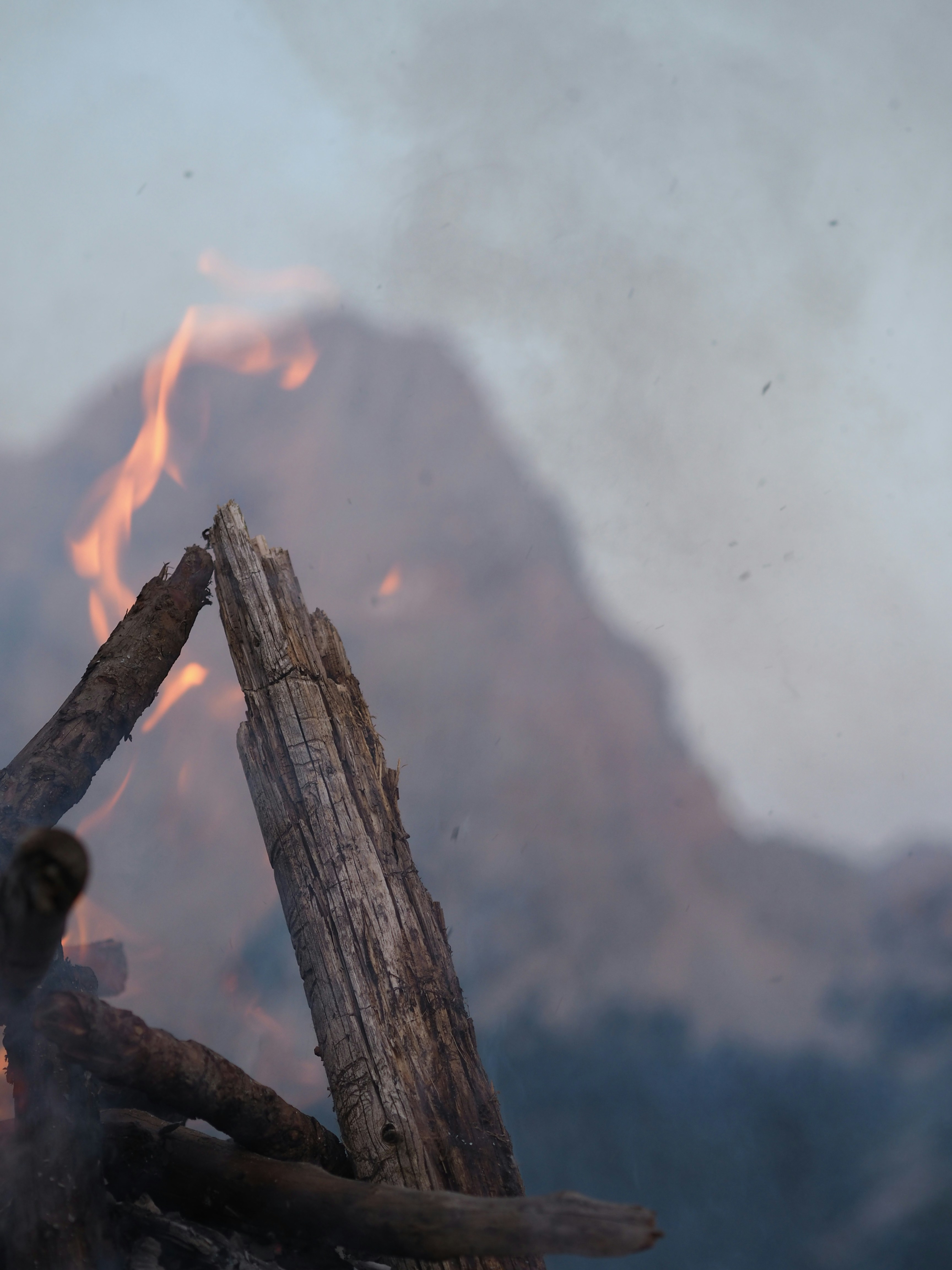 Photo by hawkins2023