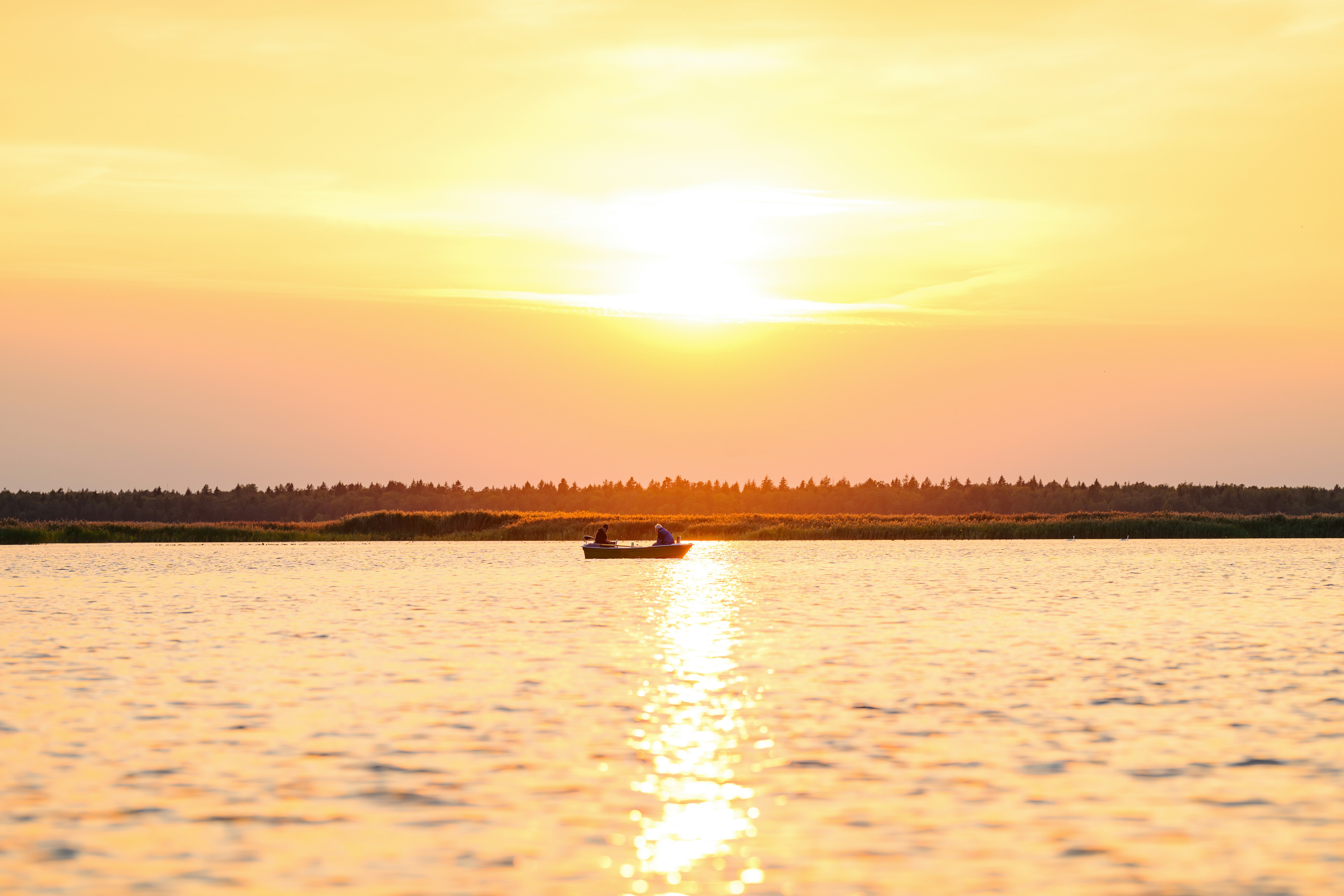 Photo by kristapsungurs