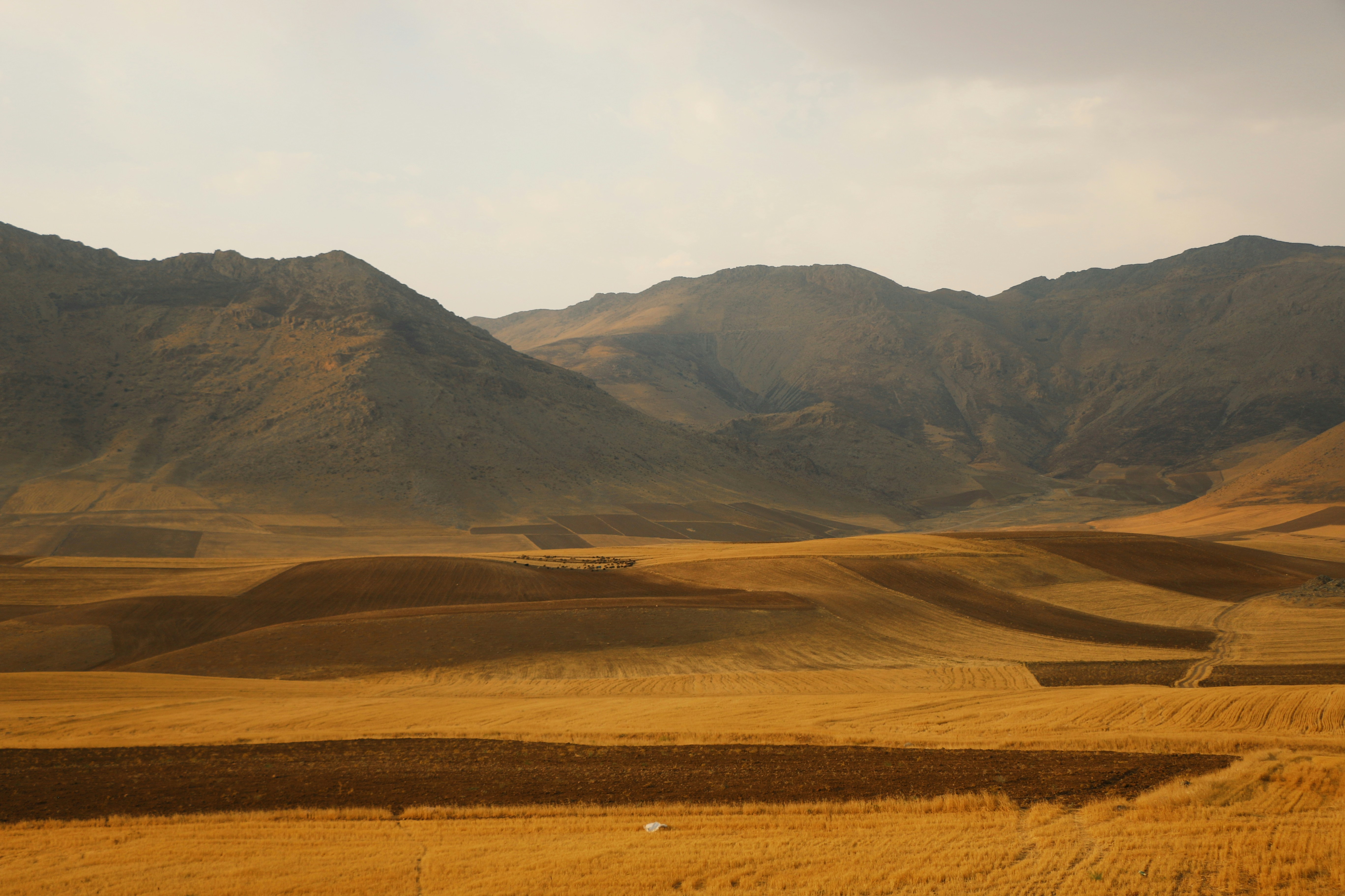 Photo by rezvaneallahyari