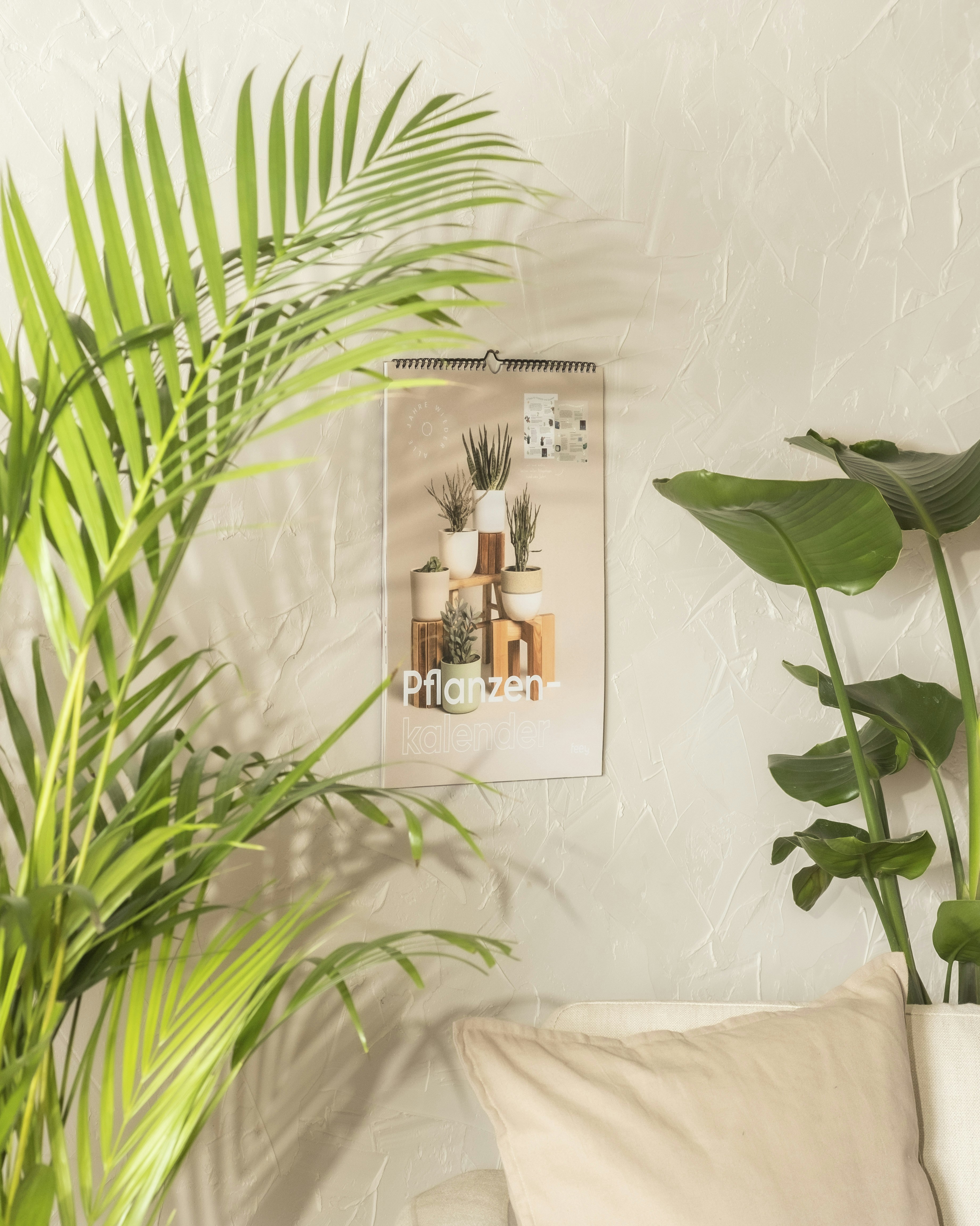 Photo by feeypflanzen