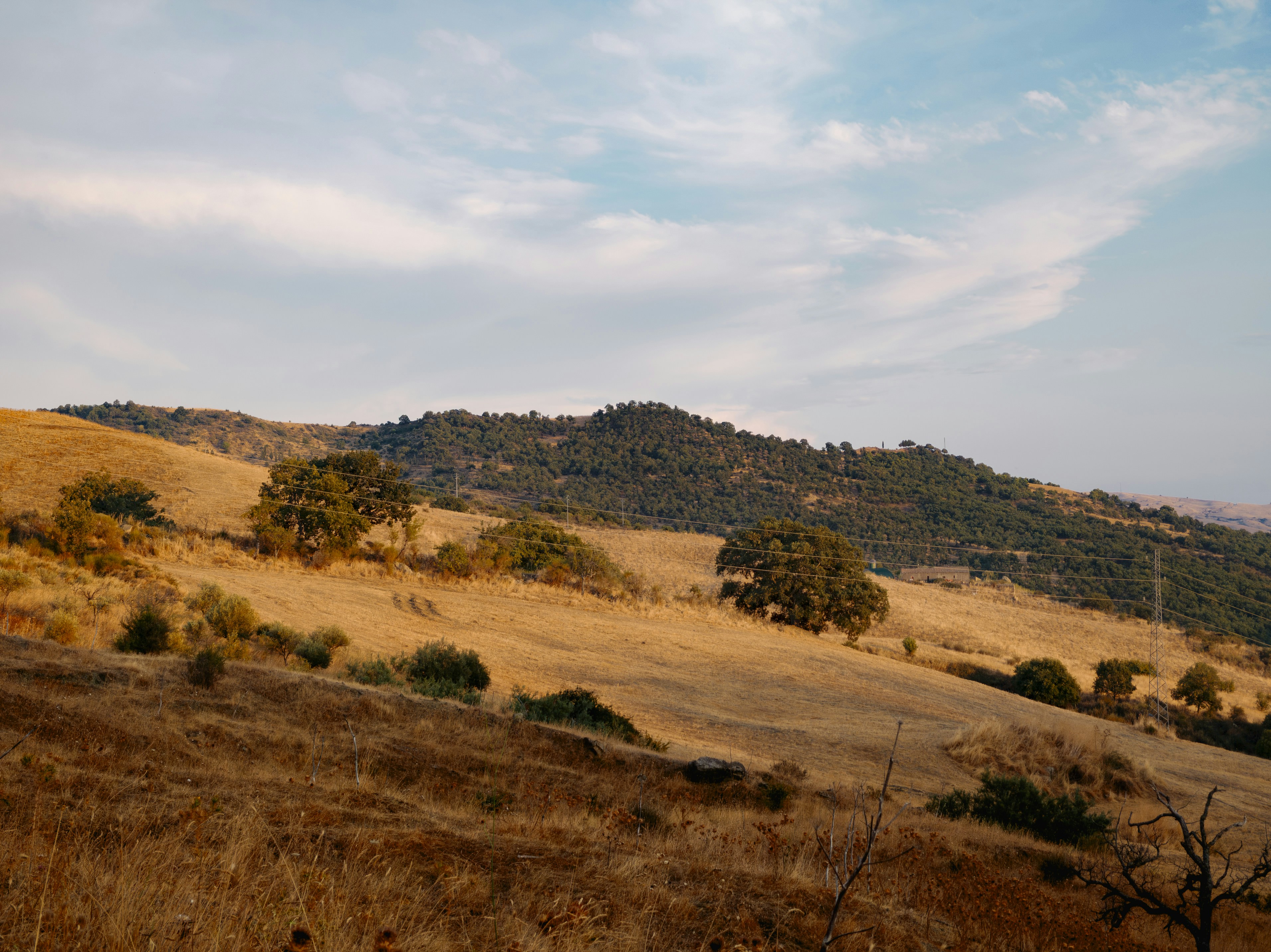 Golden hills with scattered trees under a cloudy sky.