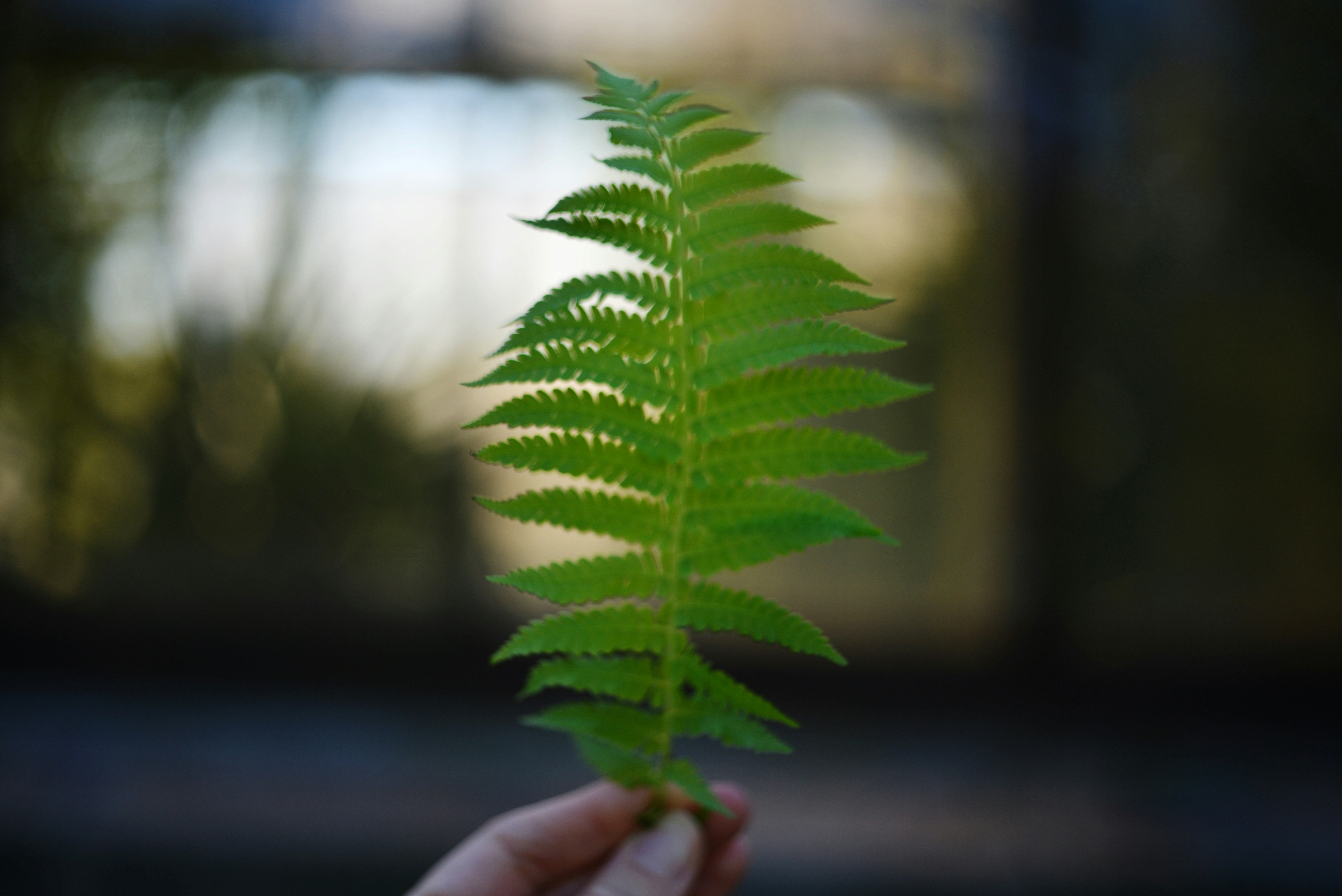 Photo by cherstve_pechivo