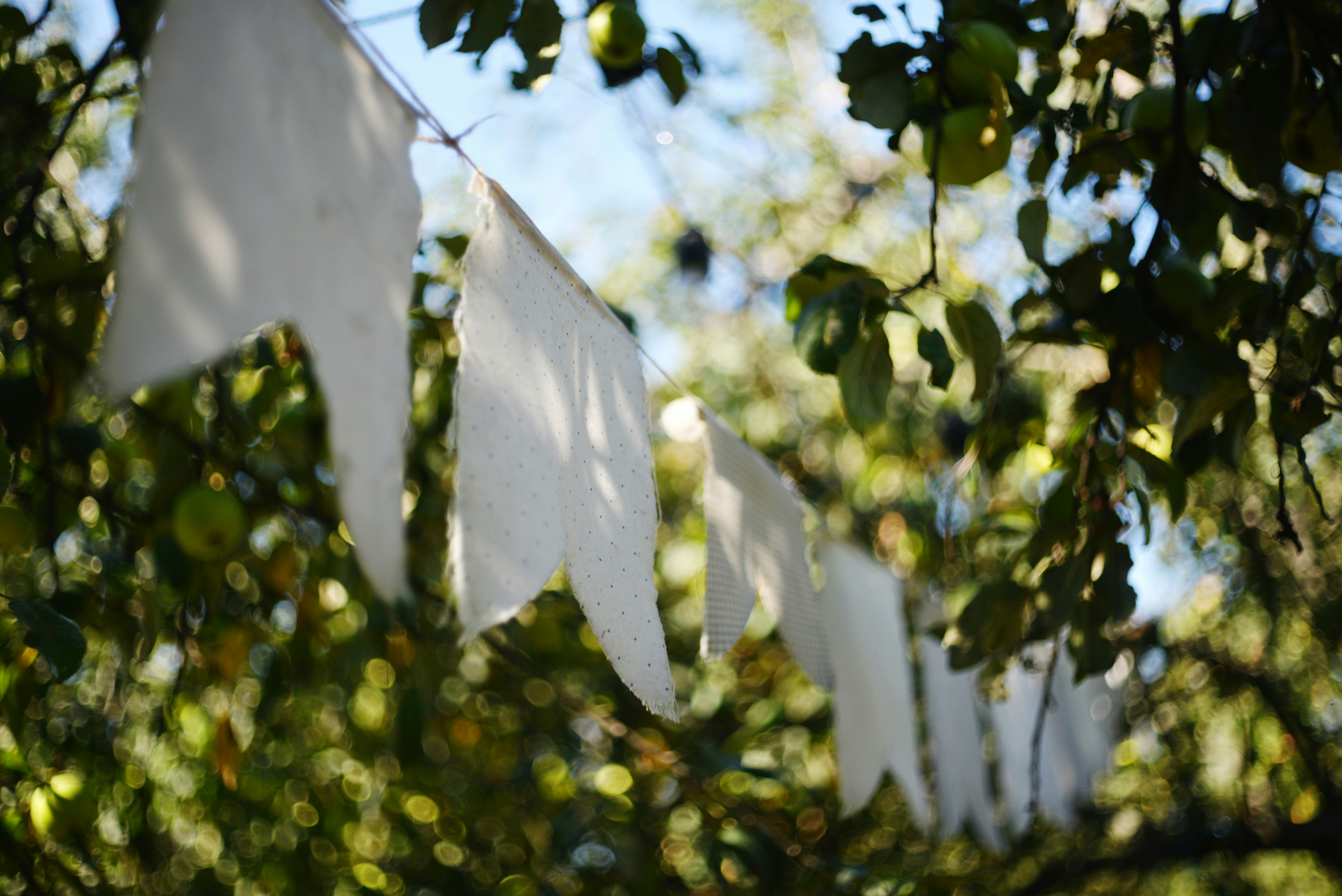 Photo by cherstve_pechivo