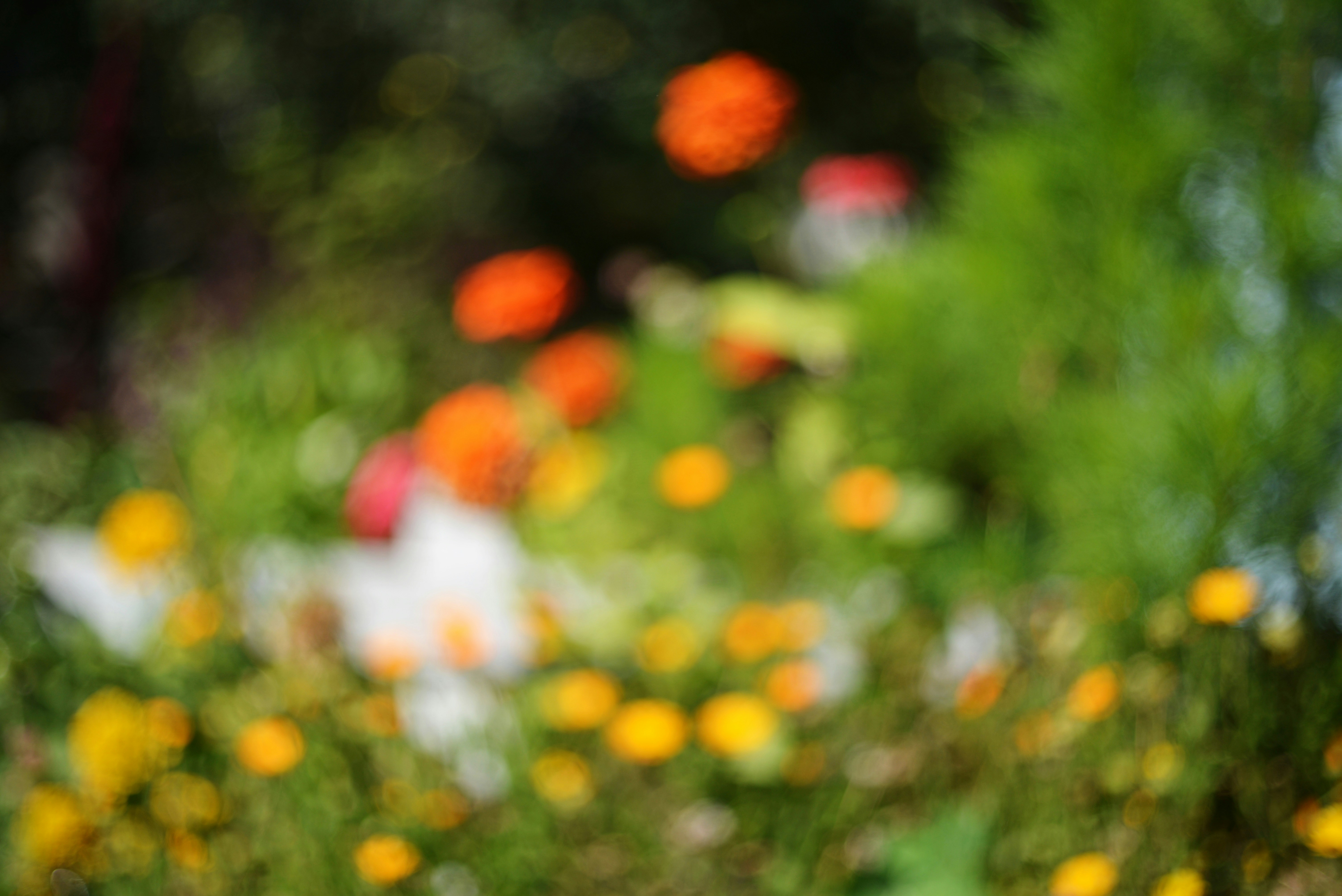 Photo by cherstve_pechivo