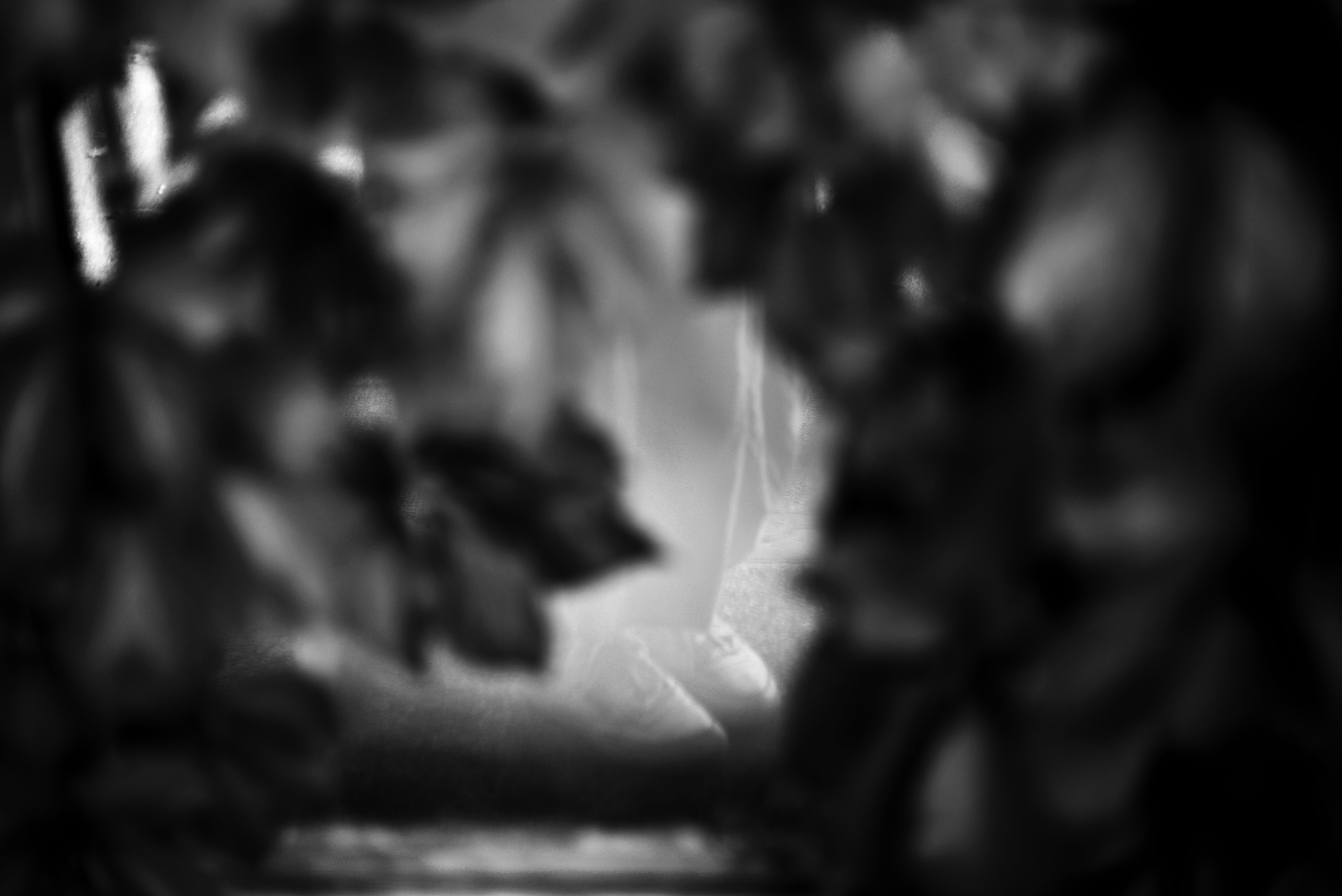 Photo by cherstve_pechivo