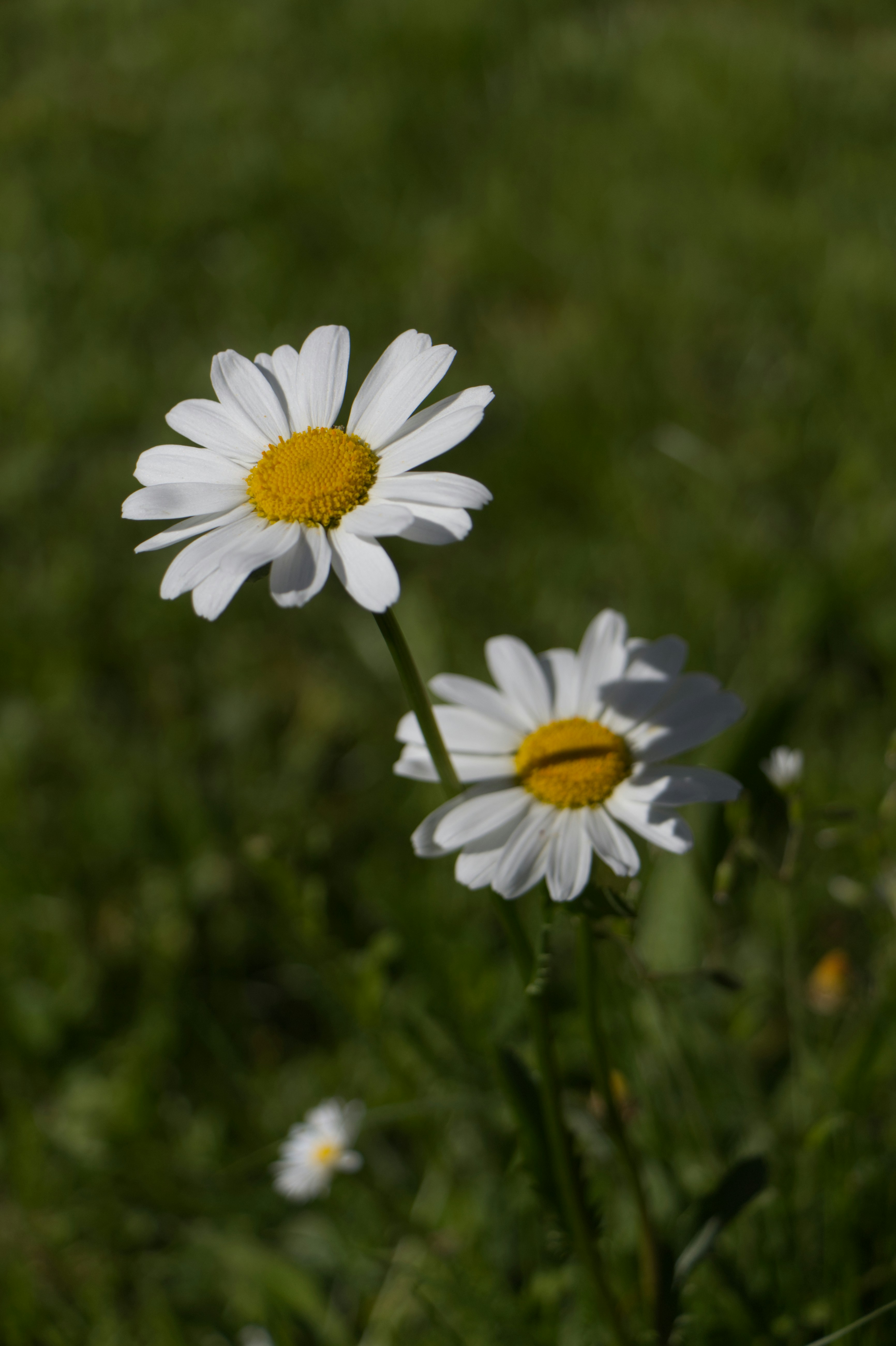 Photo by spaceboundstudio